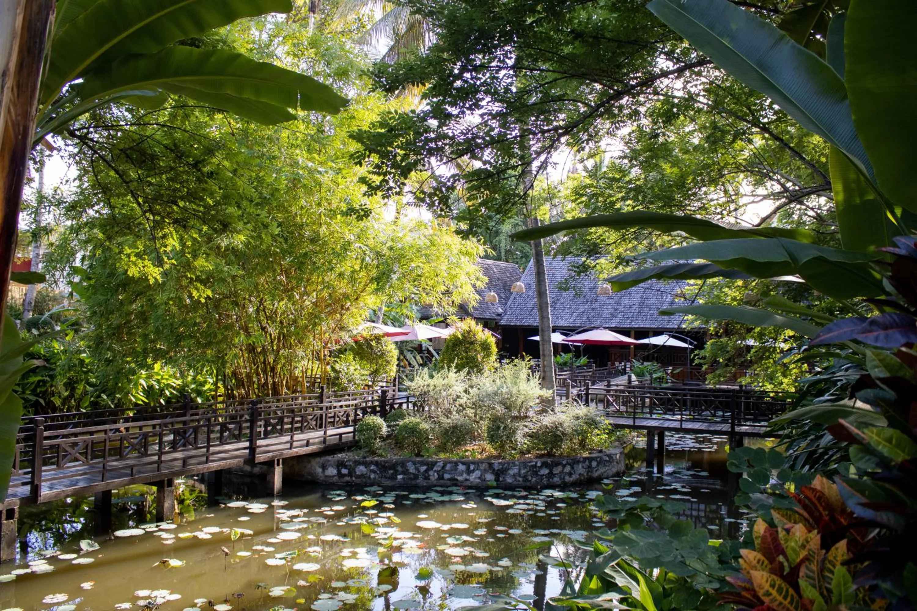 Garden in Parasol Blanc