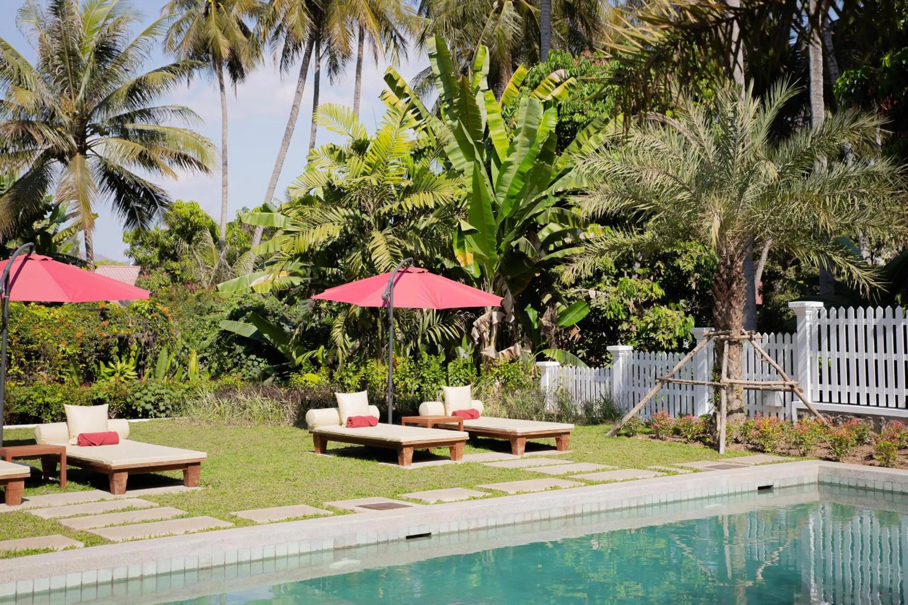 Swimming pool in Parasol Blanc