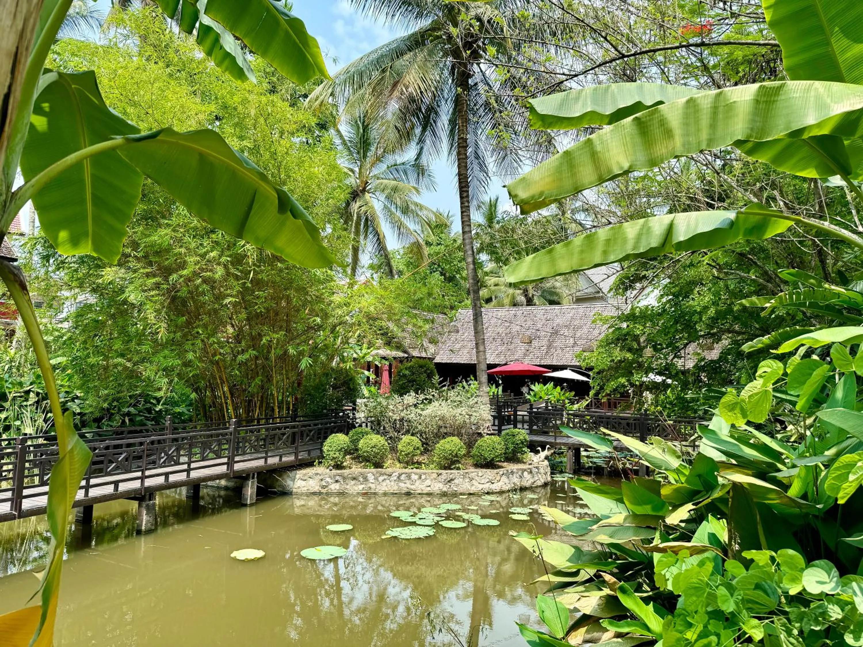 Garden in Parasol Blanc