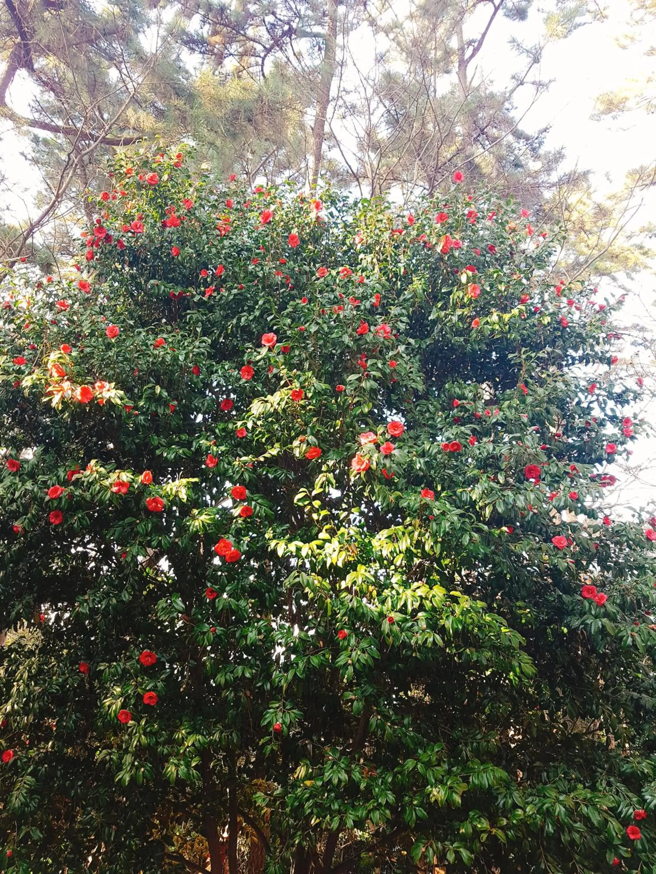Staff, Garden in Big O Show Guesthouse