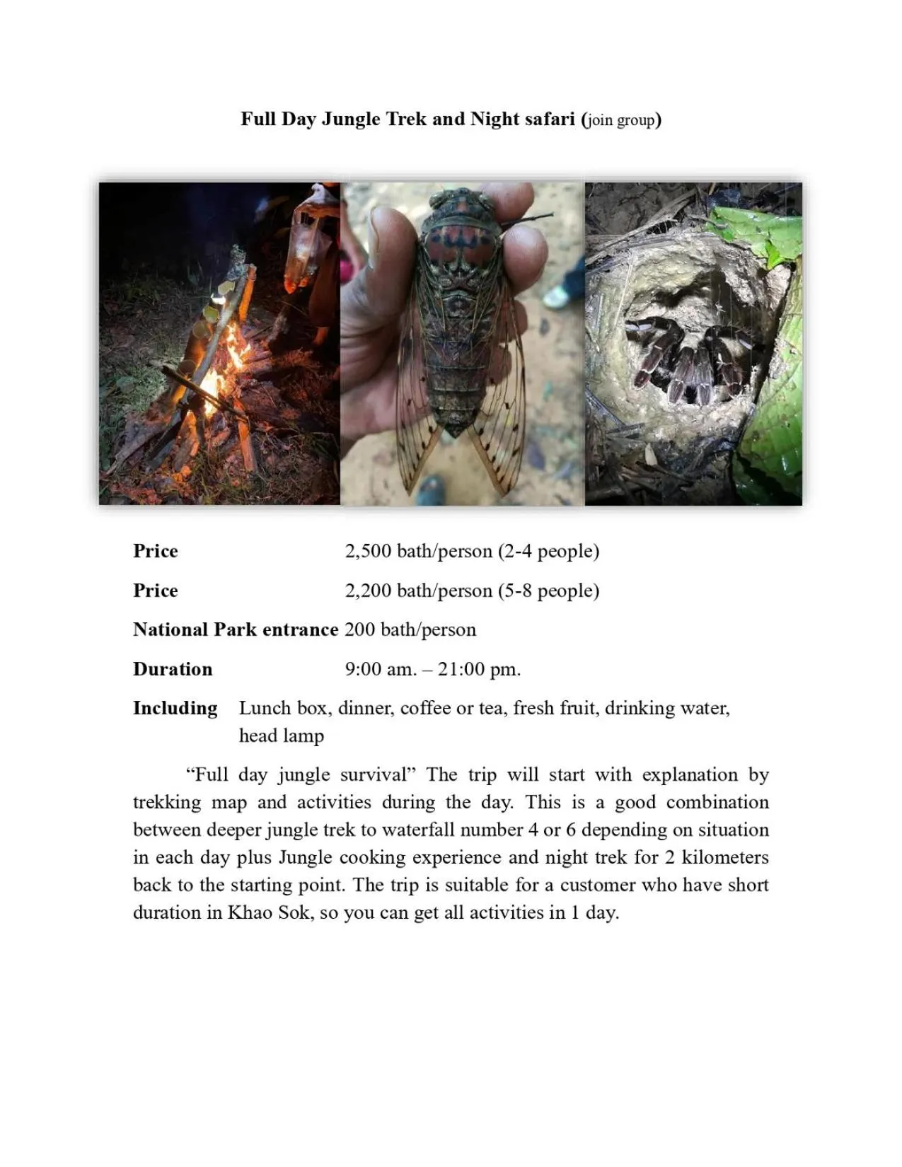 Activities in Khao Sok Green Mountain View