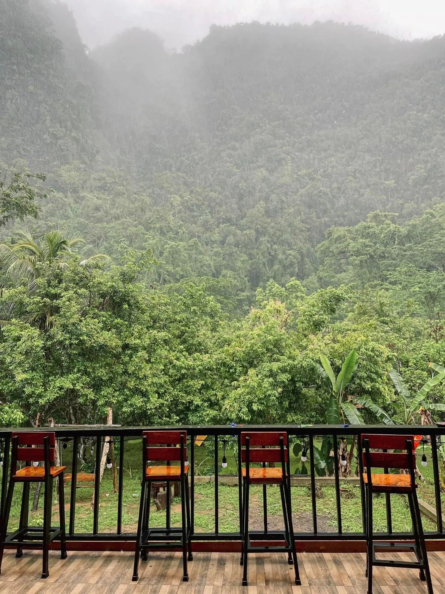 Restaurant/places to eat in Khao Sok Green Mountain View