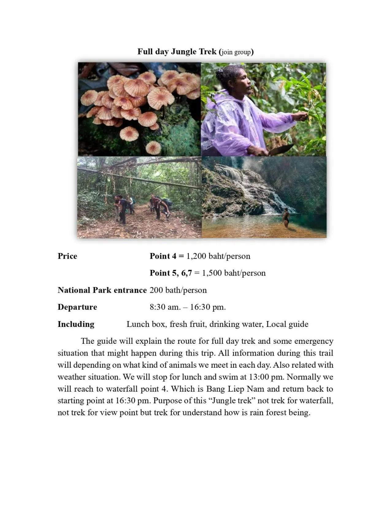 Activities in Khao Sok Green Mountain View