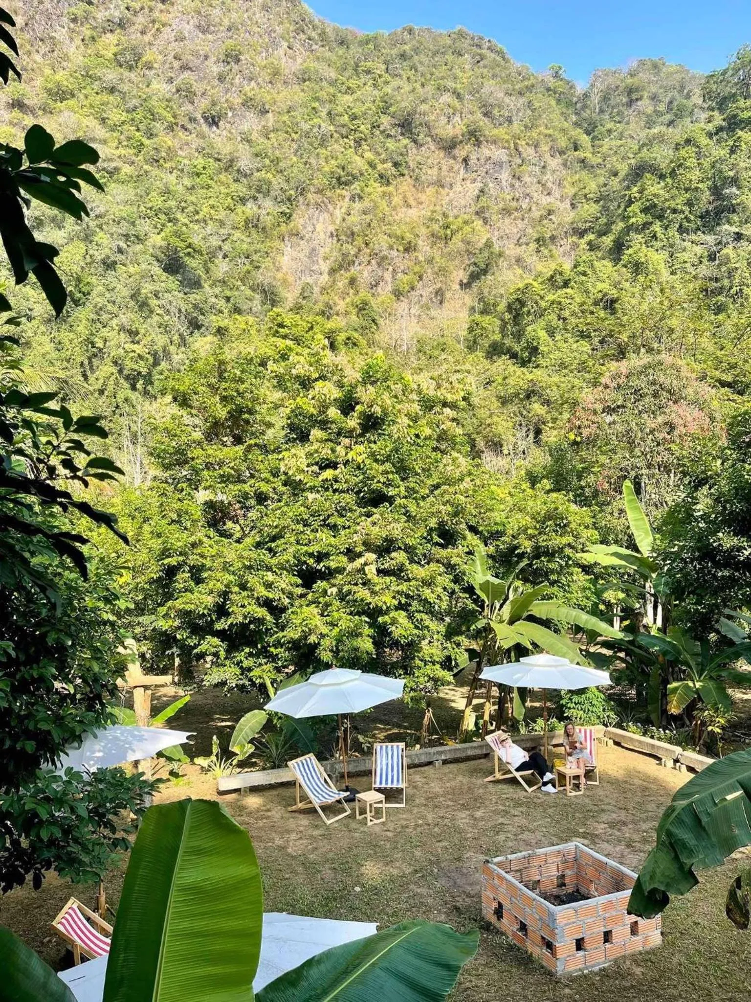 Natural landscape in Khao Sok Green Mountain View