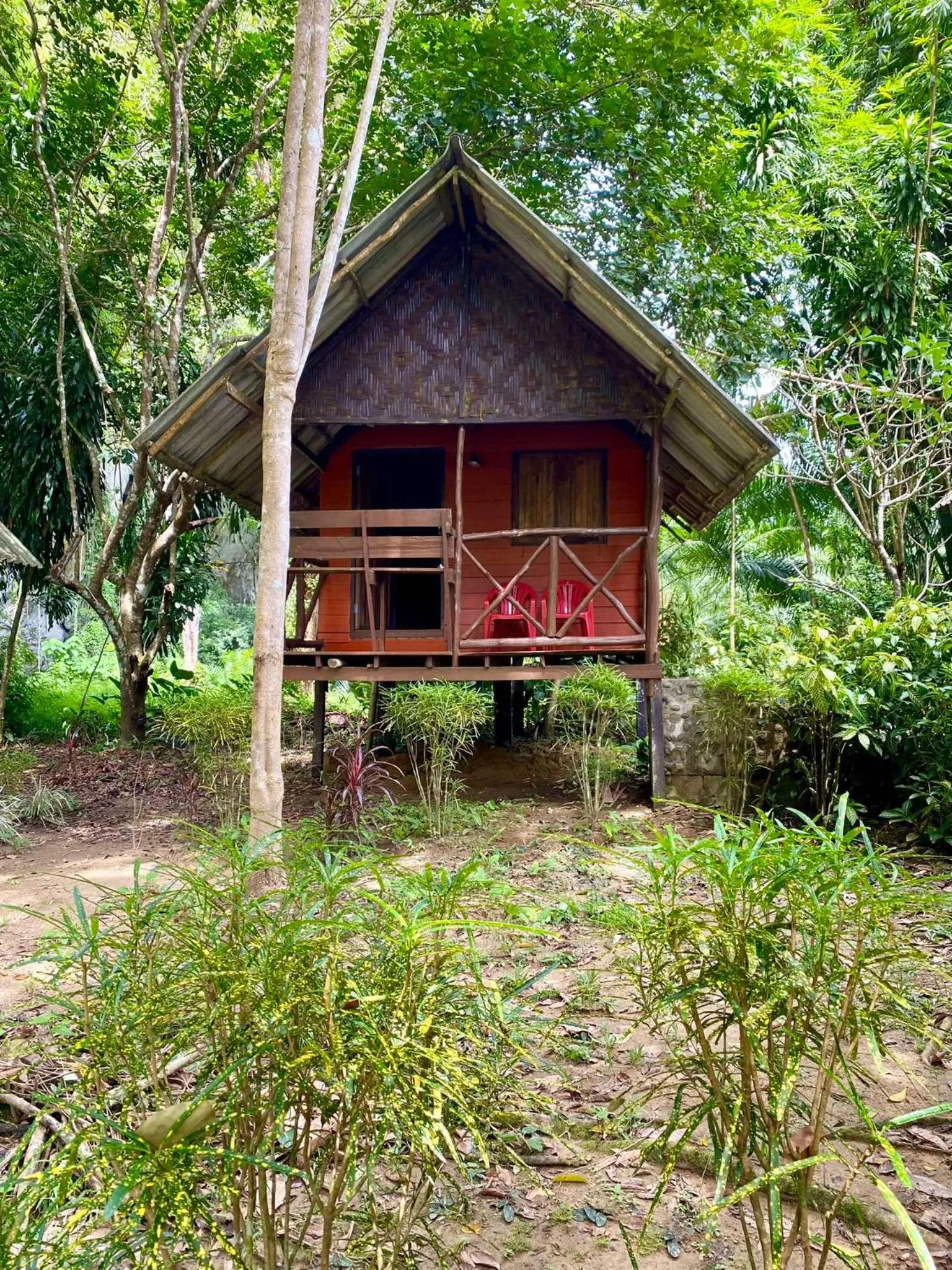 Khao Sok Green Mountain View