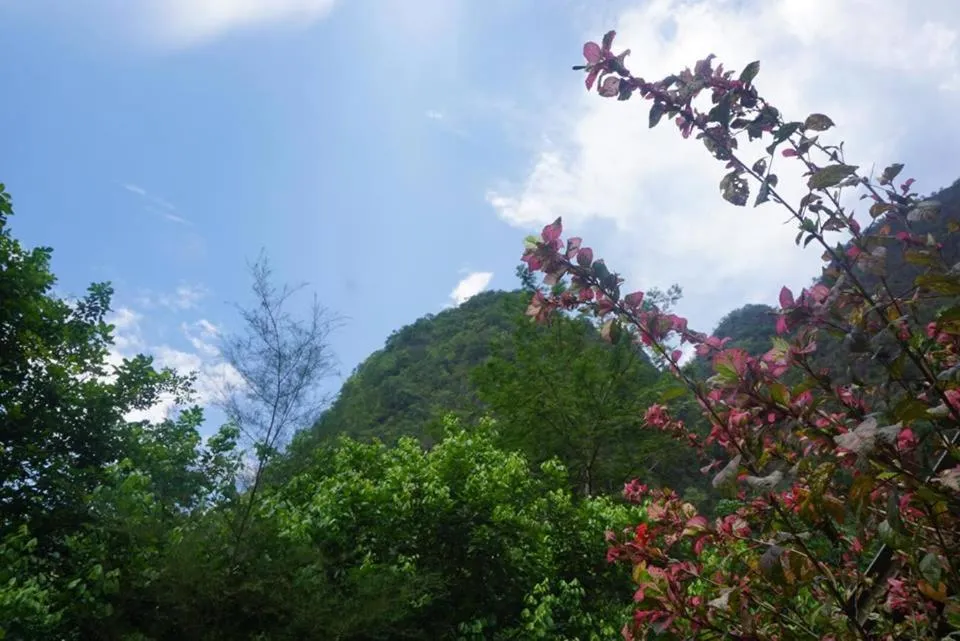 Property building in Khao Sok Green Mountain View