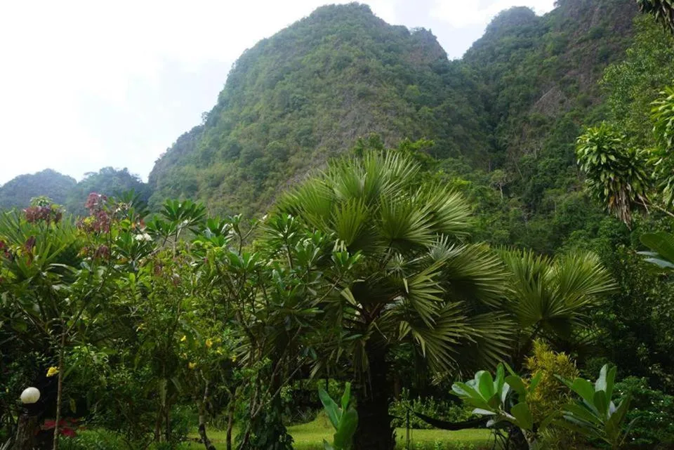 Property building in Khao Sok Green Mountain View