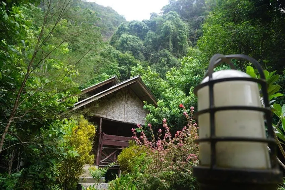 Property building in Khao Sok Green Mountain View