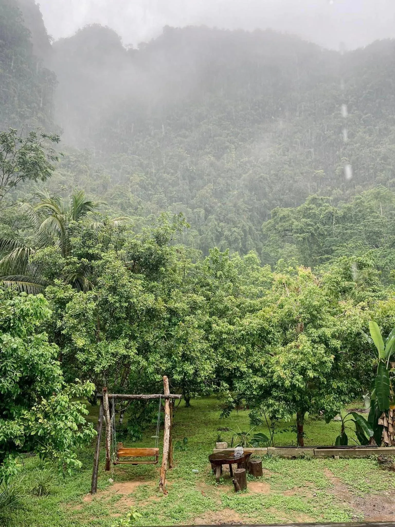 Restaurant/places to eat in Khao Sok Green Mountain View