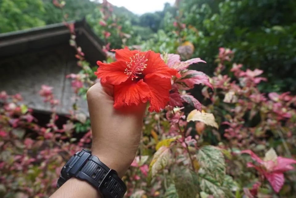 Property building in Khao Sok Green Mountain View
