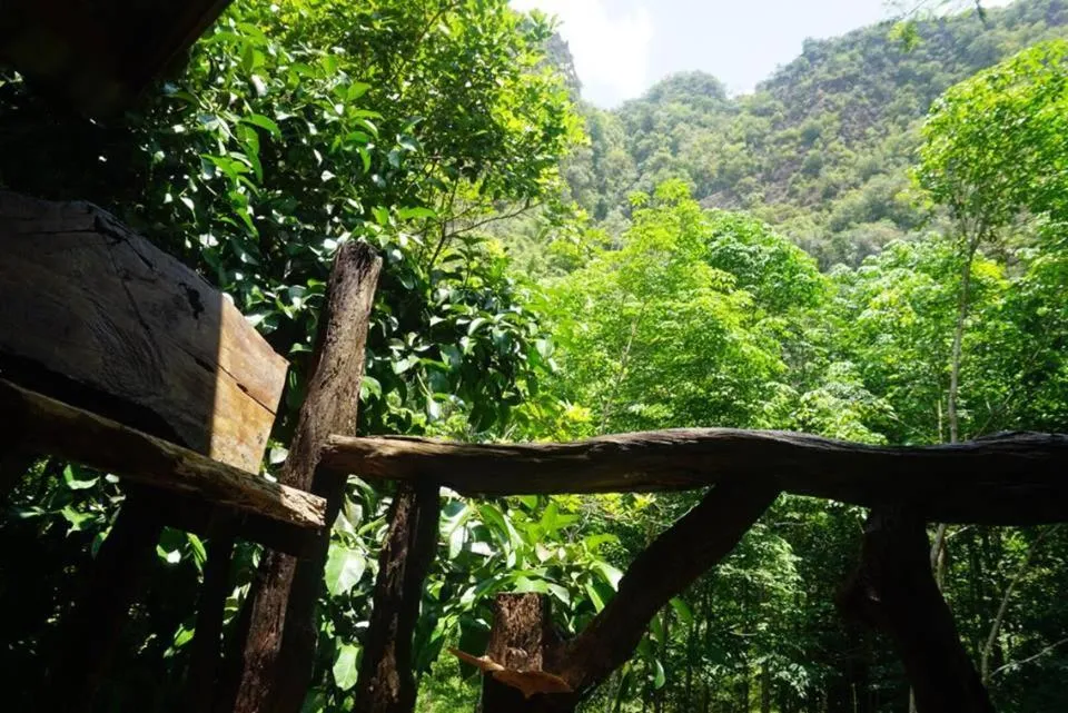 Property building in Khao Sok Green Mountain View