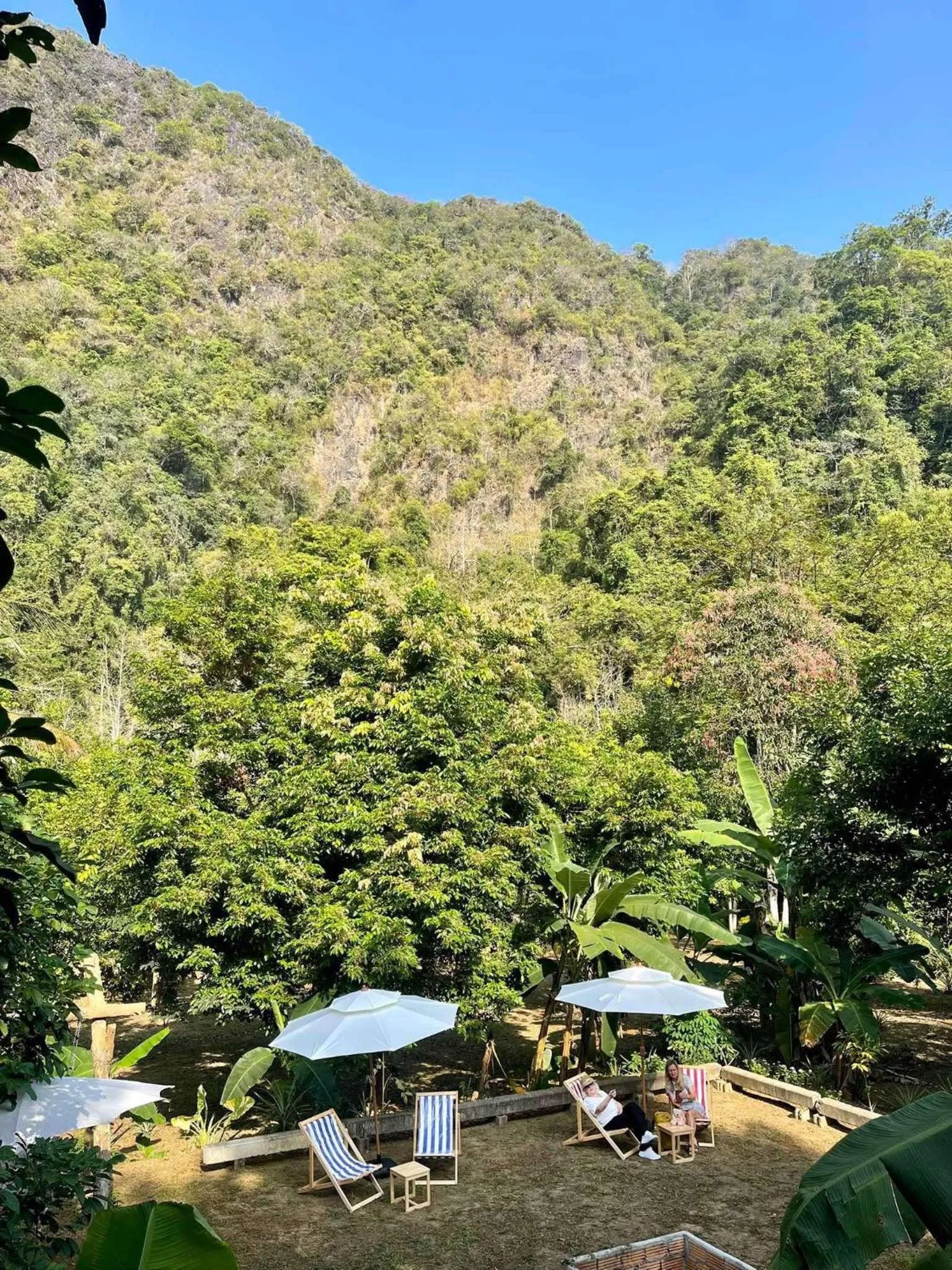 Balcony/Terrace in Khao Sok Green Mountain View