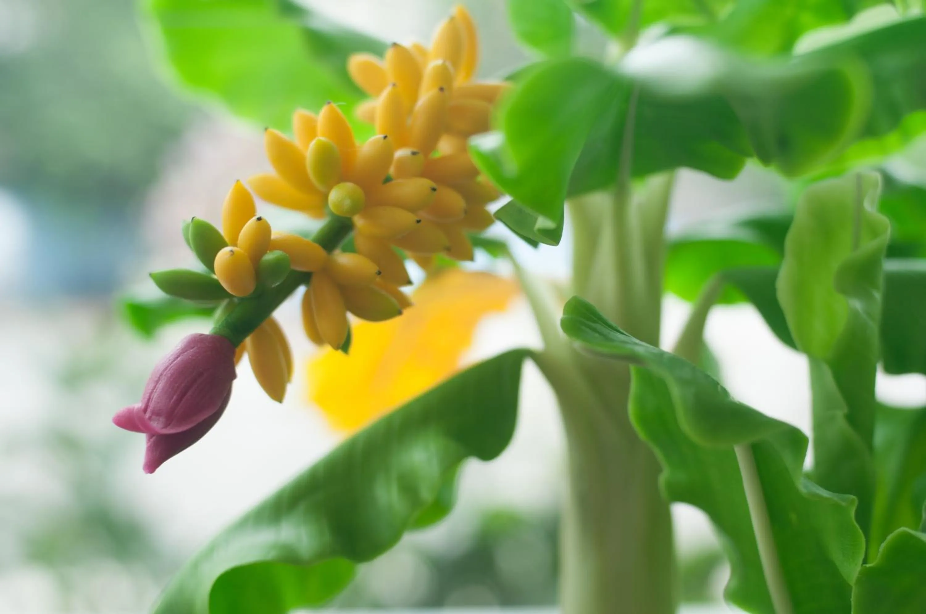 Area and facilities in Kasemsarn Hotel Chanthaburi