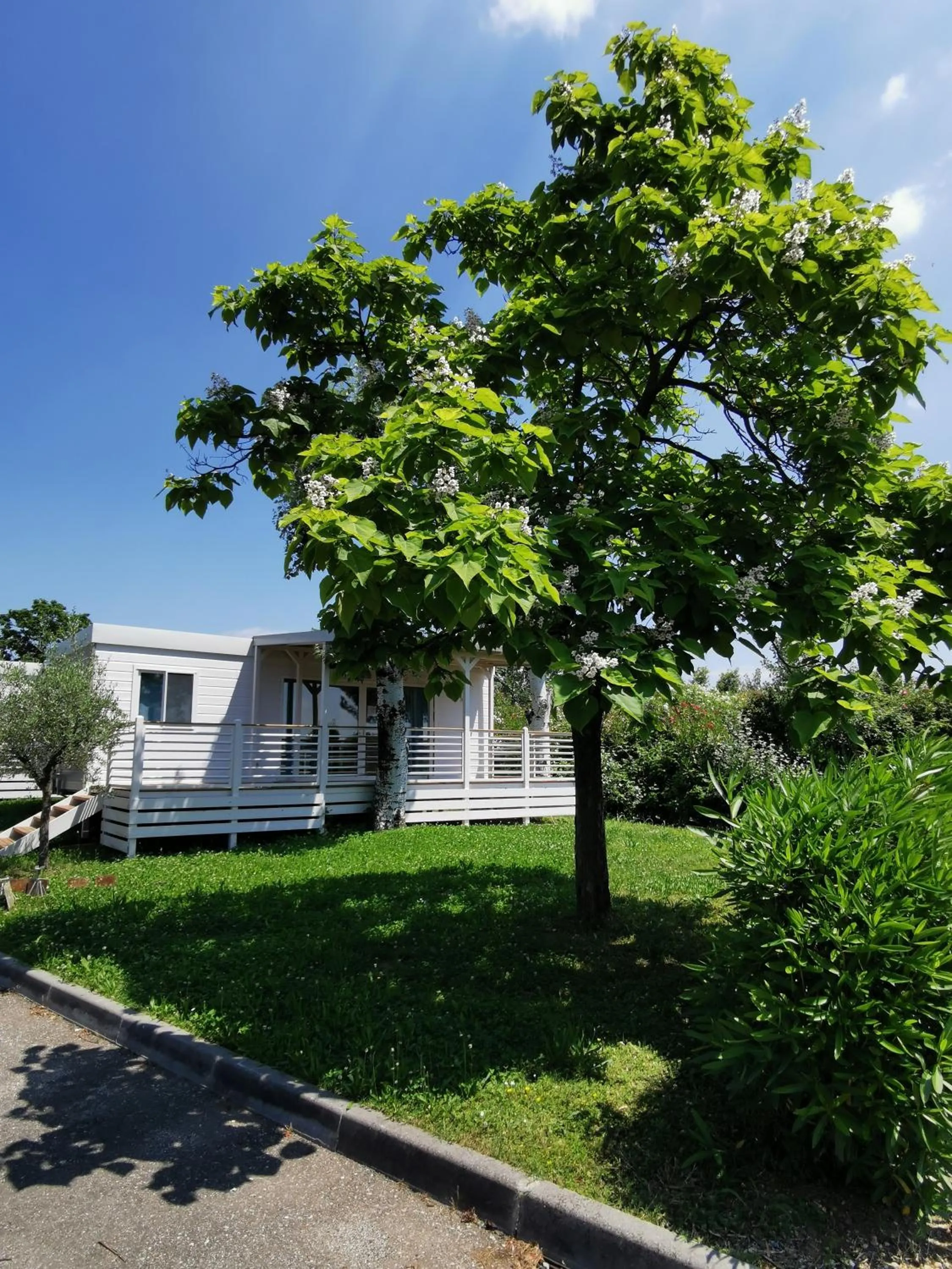 Garden in The Garda Village