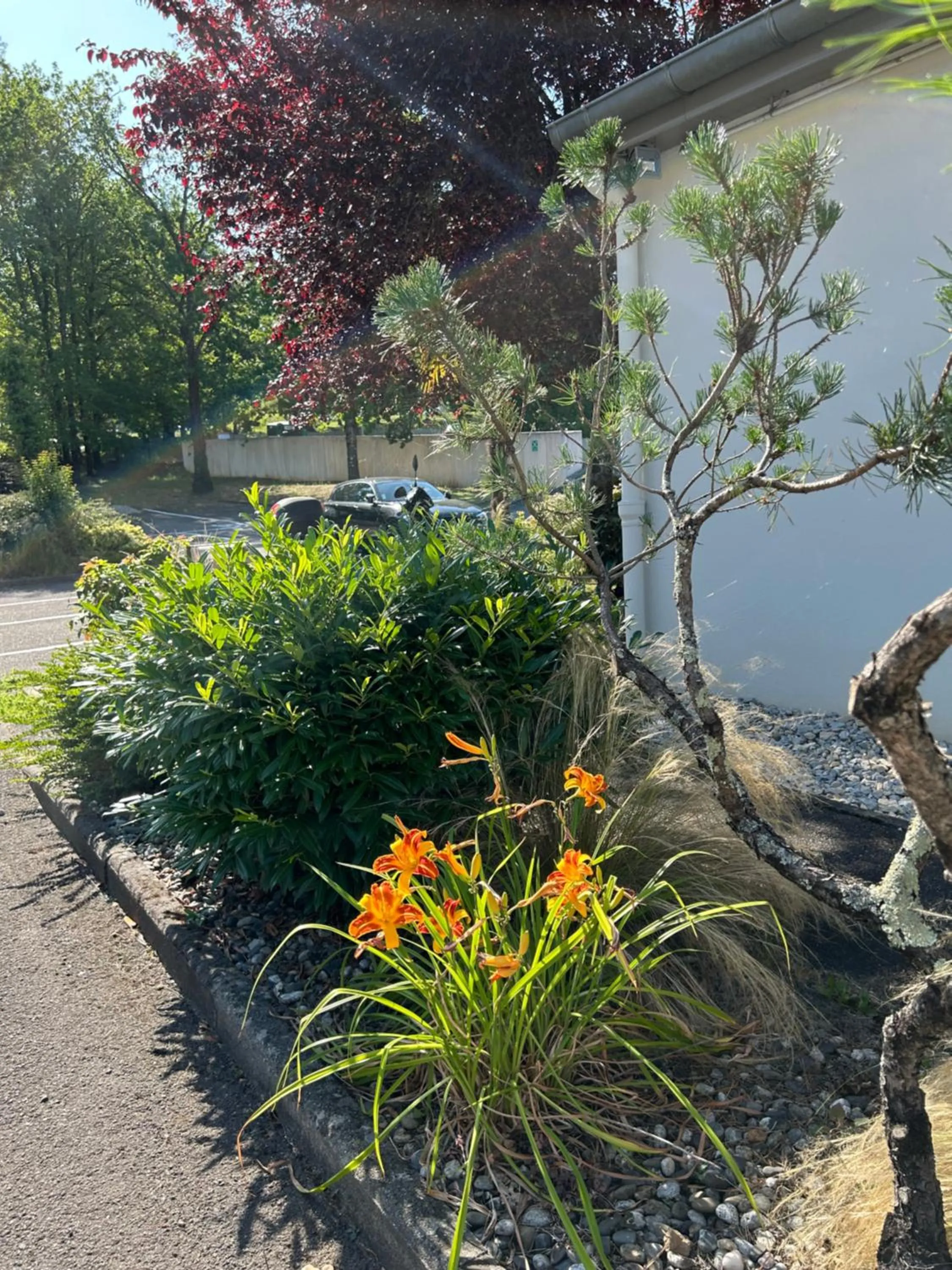 Garden in Campanile NATURE - Cahors