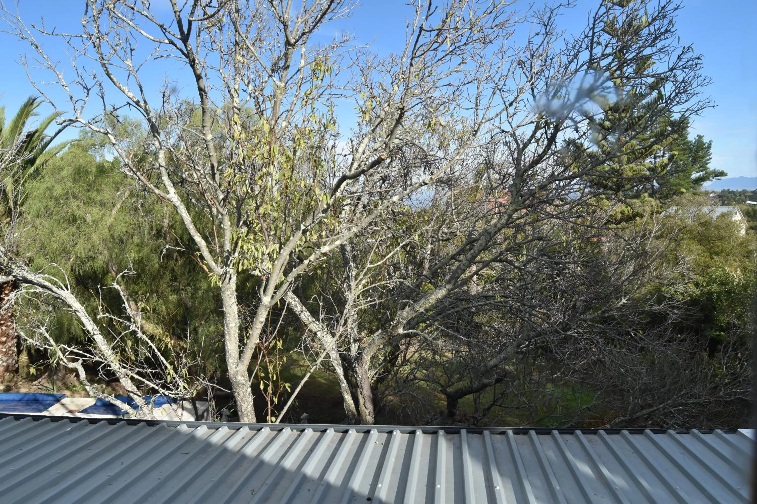 Garden view in Almond Cottage Bed & Breakfast