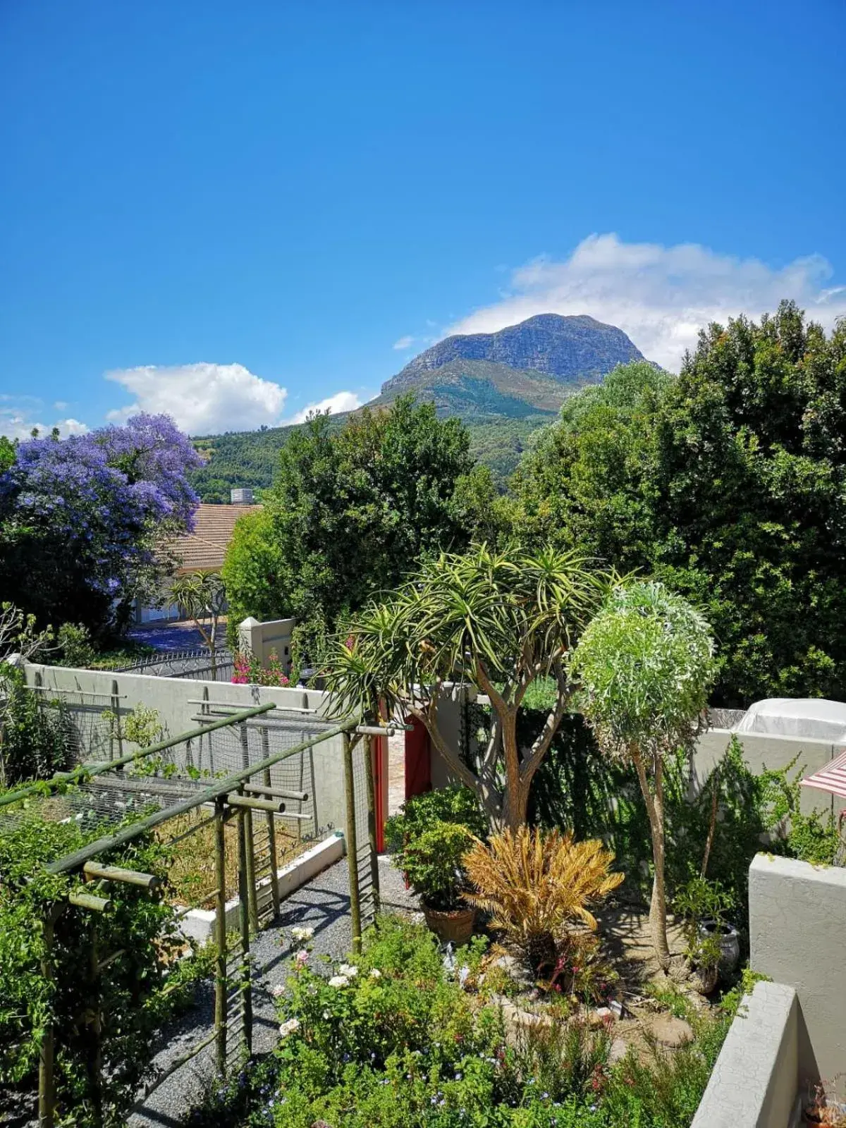 Standard Double Room with Garden View in Almond Cottage Bed & Breakfast Standard Double Room with Garden View in Almond Cottage Bed & Breakfast