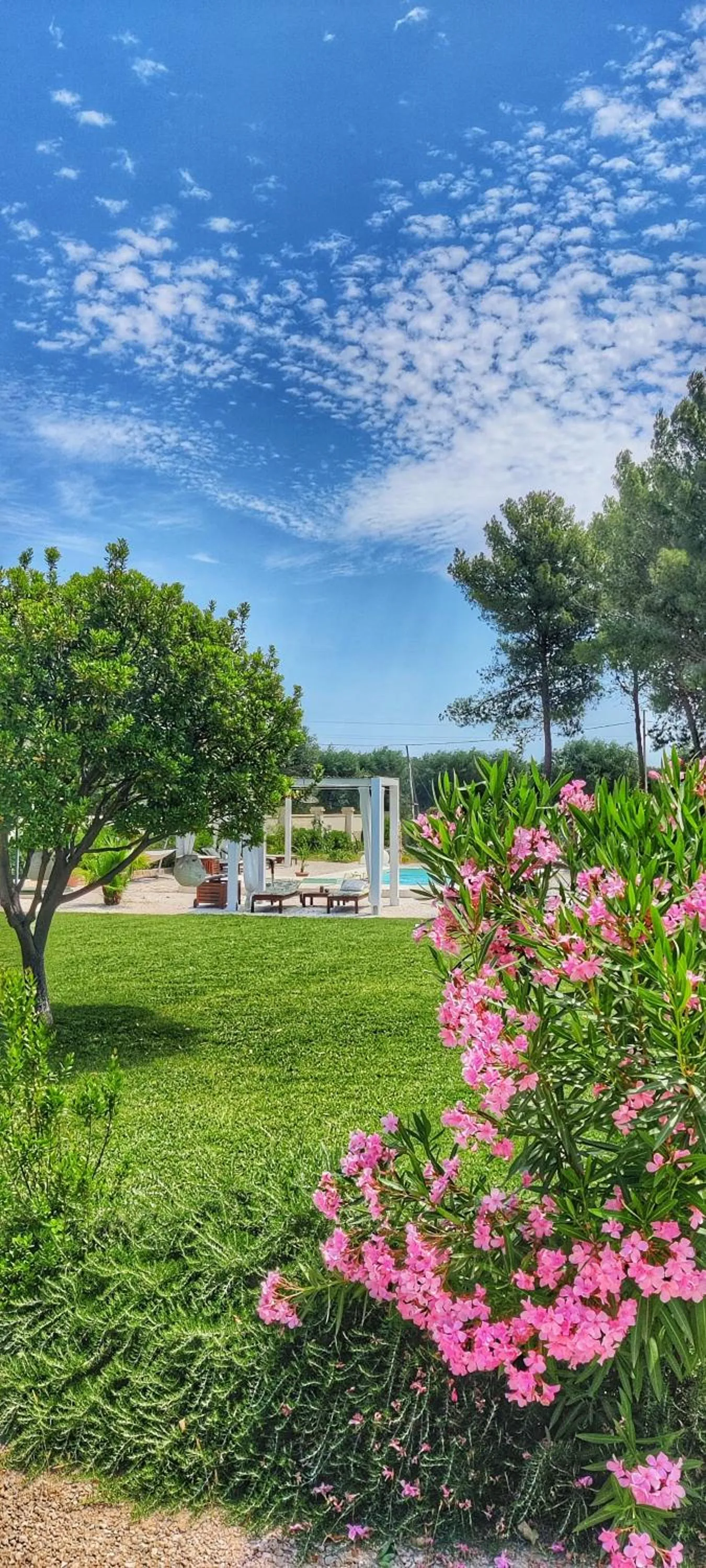 View (from property/room) in B&B Sogno Salentino