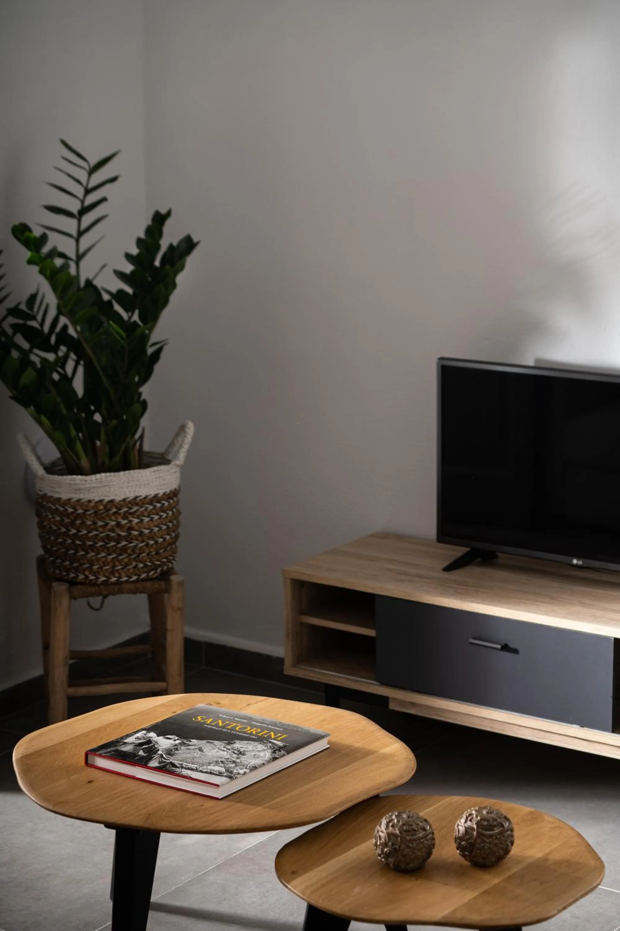 TV and multimedia in Kastro Mansion