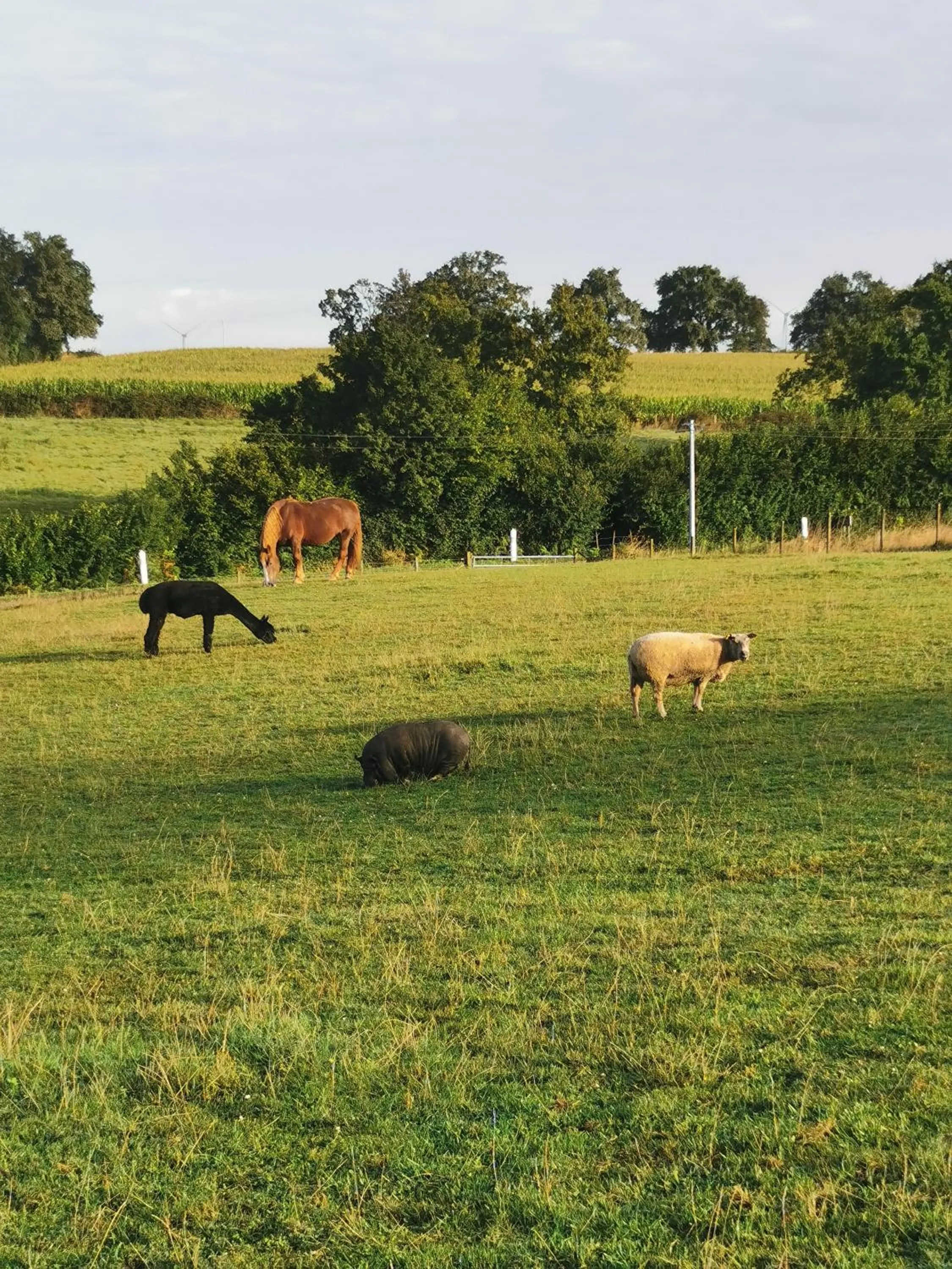Chambre d'hôtes Le Pot au Lait