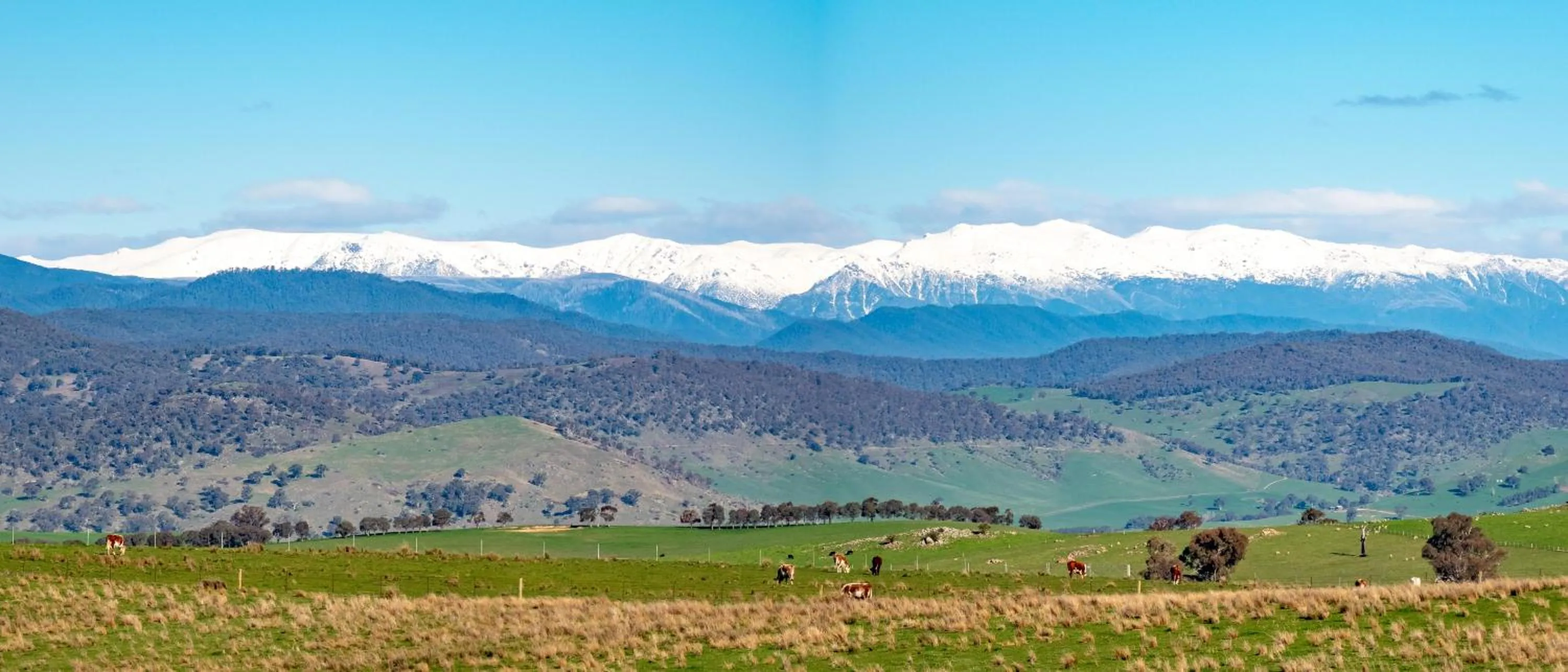 Nearby landmark in Brigham House