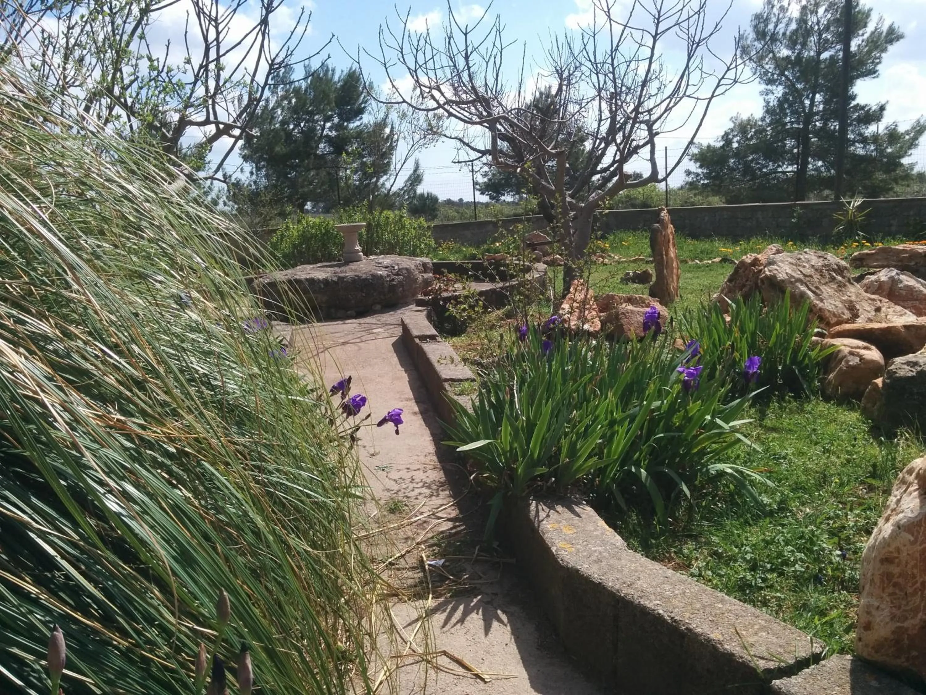 Garden in Villa 2 Fields