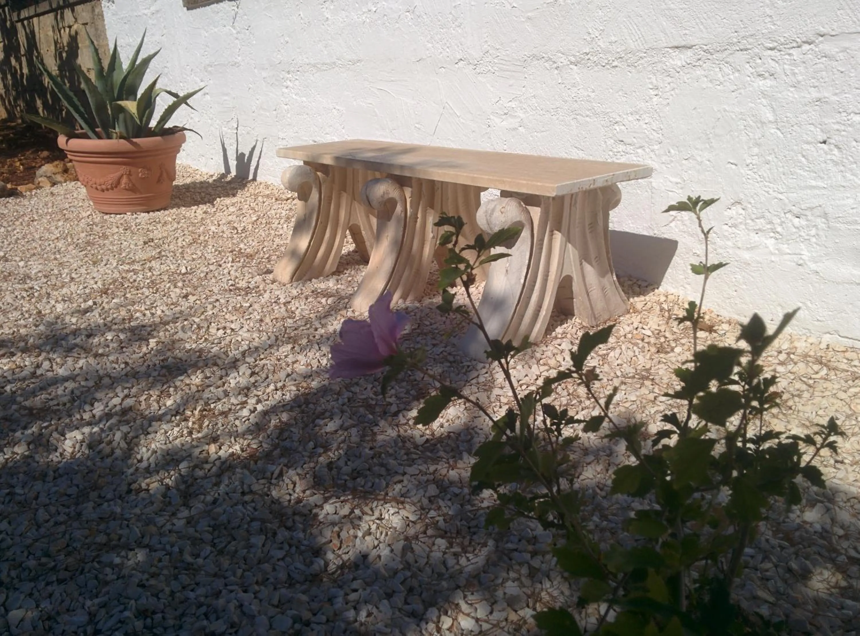 Garden in Villa 2 Fields