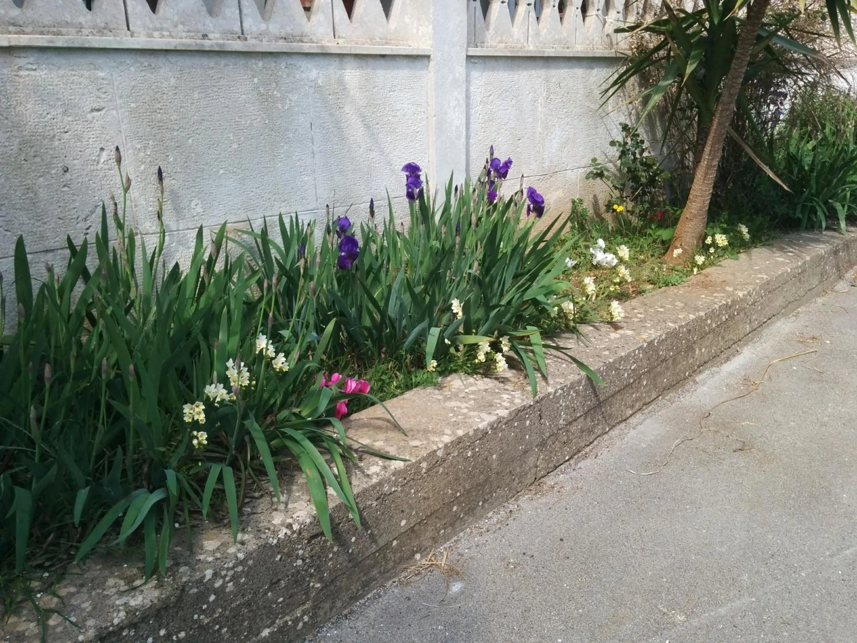 Garden in Villa 2 Fields