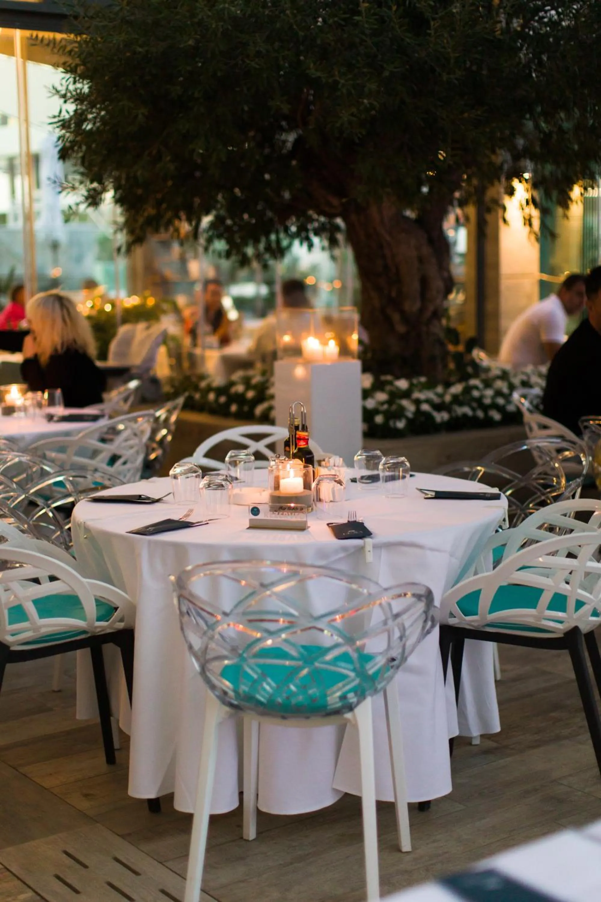 Restaurant/places to eat in Hotel Opera Mamaia