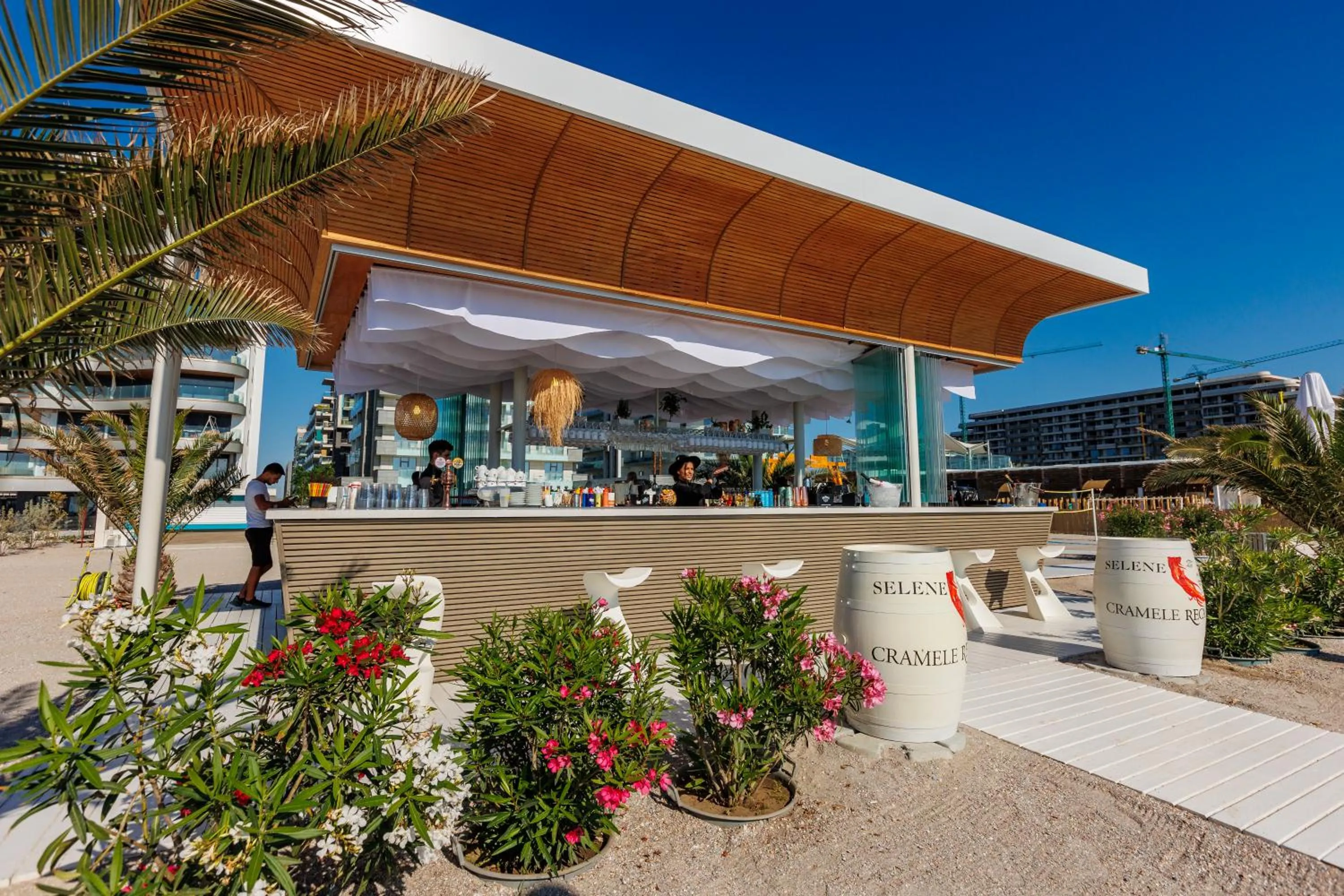 Lounge or bar in Hotel Opera Mamaia