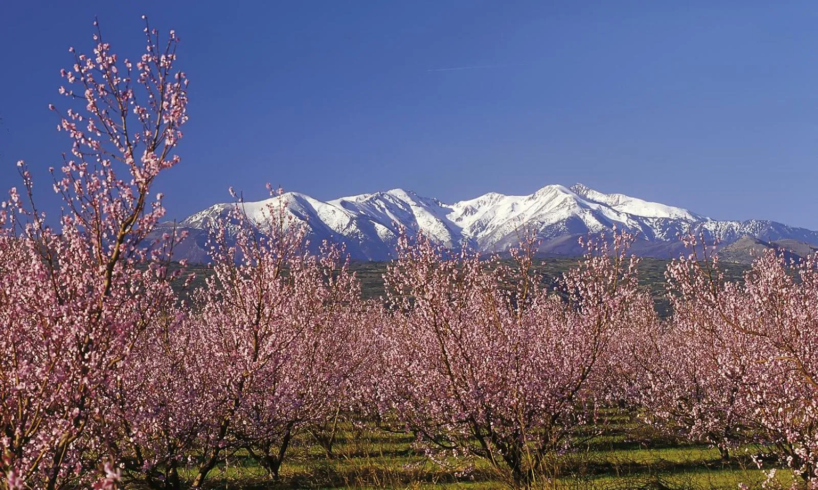Natural landscape in Campanile Perpignan Sud