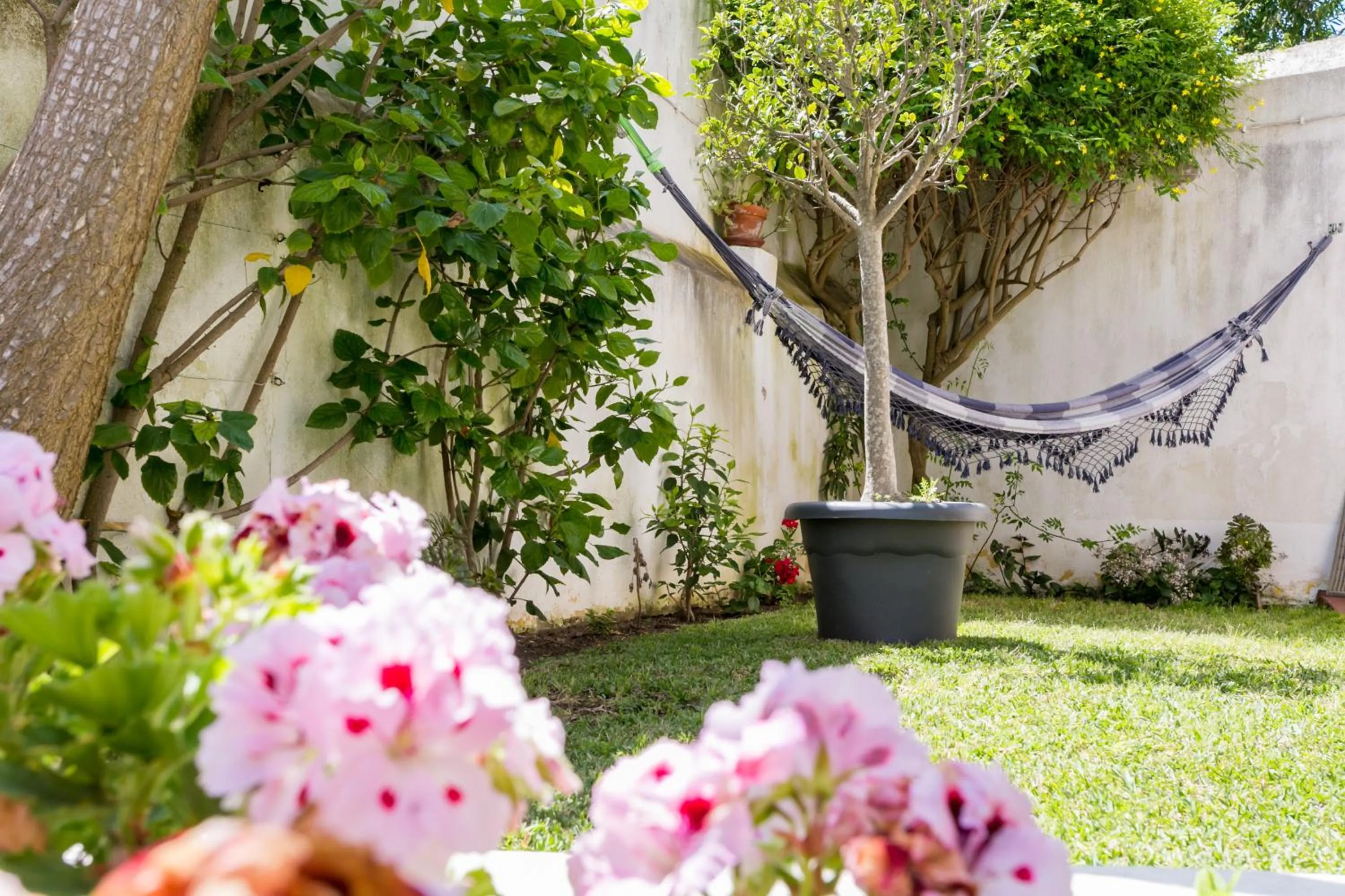 Garden in 3 Marias Garden House B&B