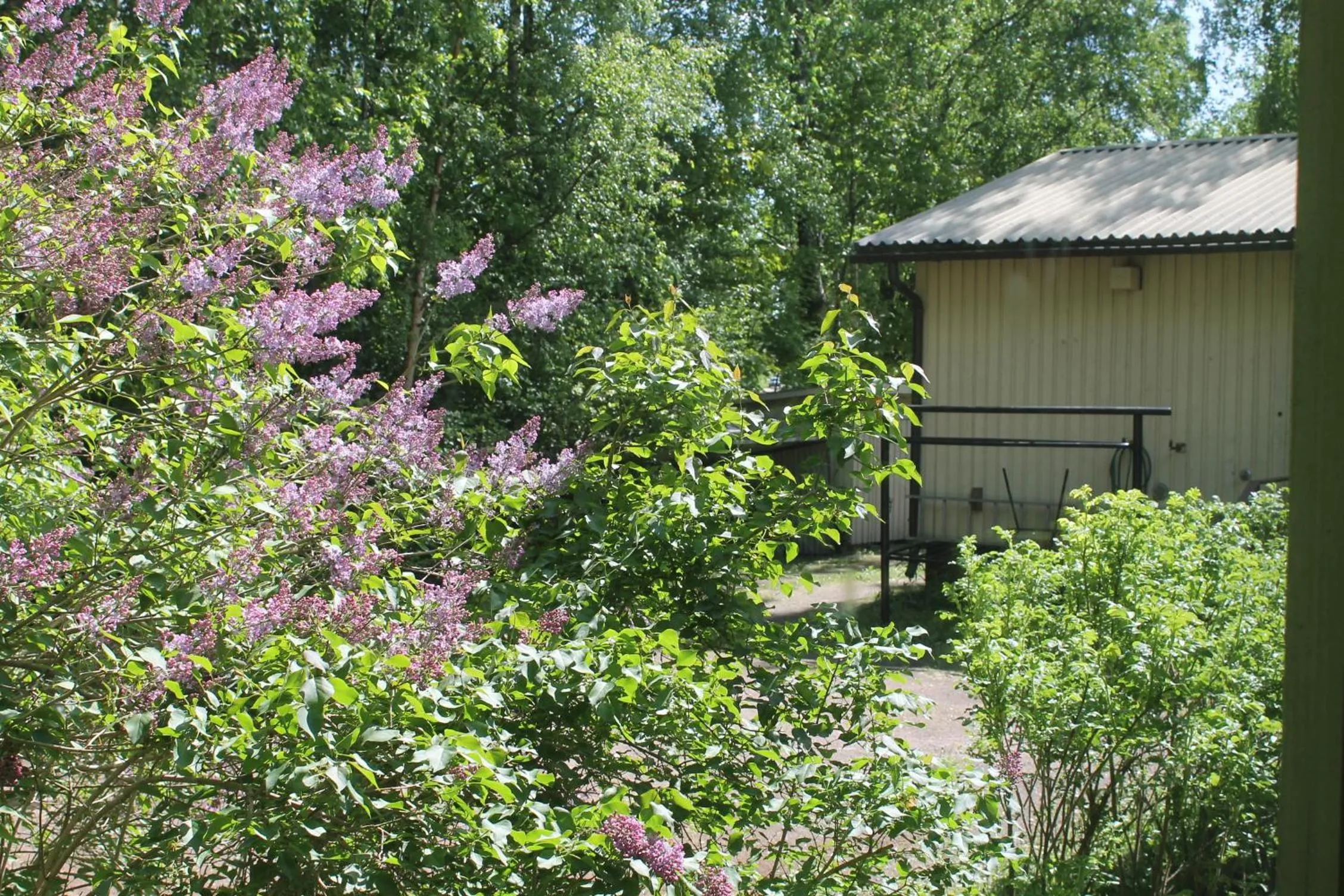 Inner courtyard view in Guesthouse - Kuin Kotonaan
