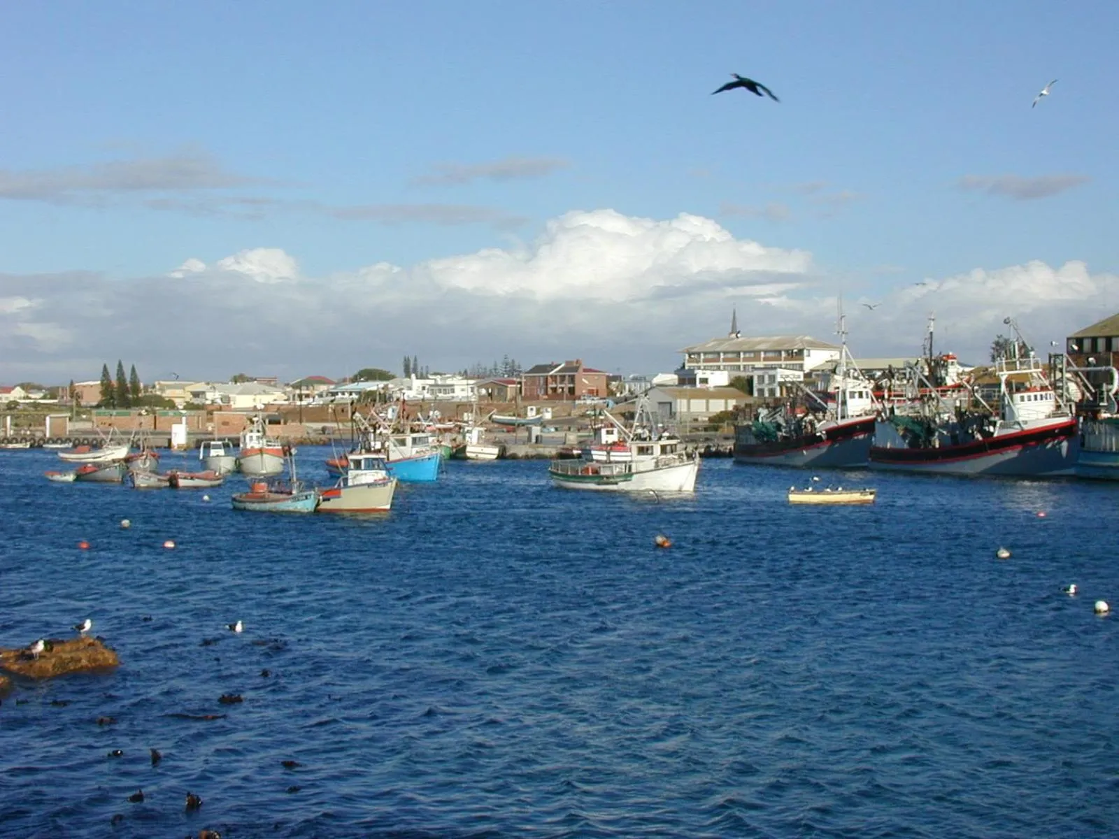 Beach in Lamberts Bay Hotel