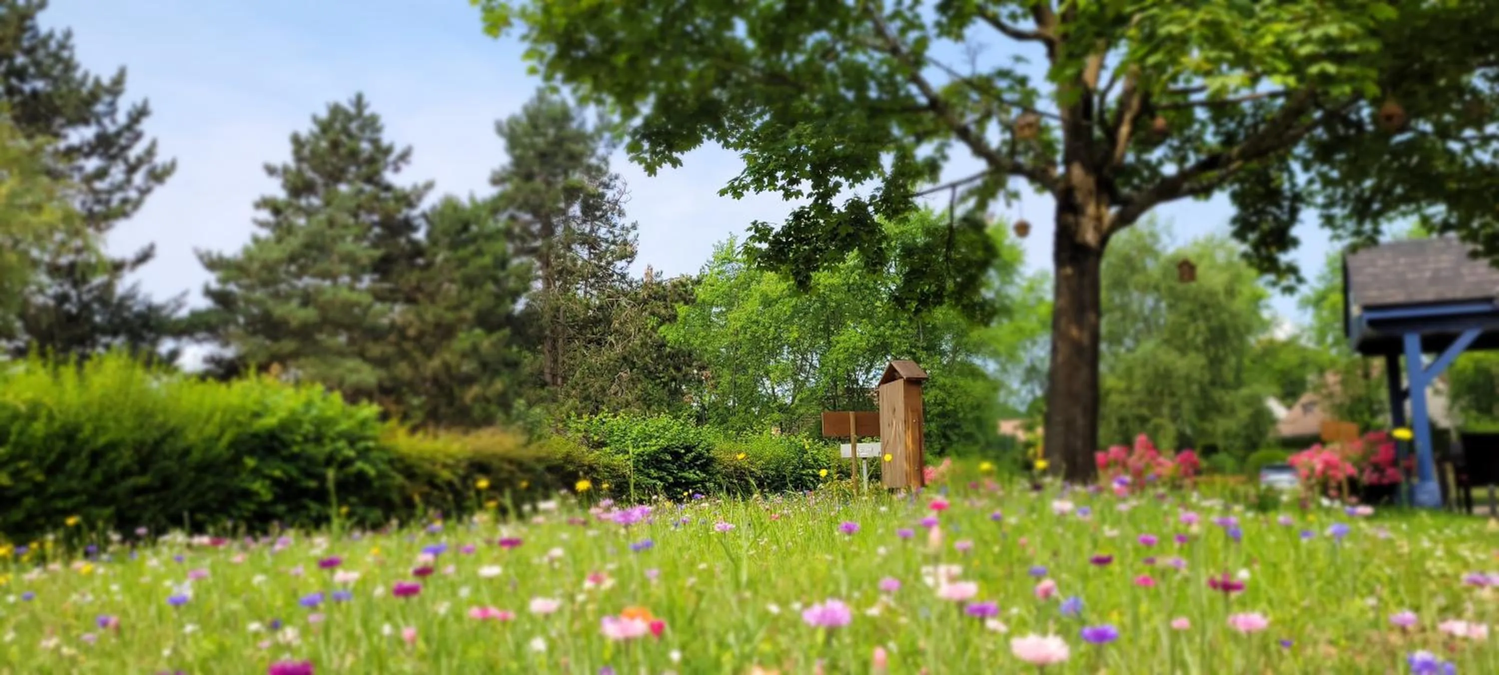 Garden in KYRIAD ROUEN NORD - Mont Saint Aignan