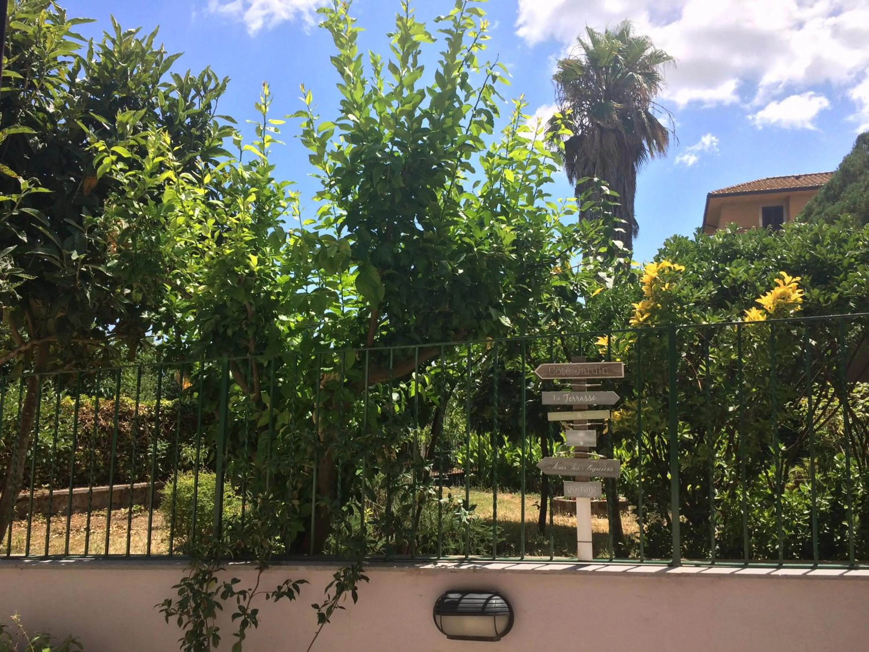 Bird's eye view in Eco Home con terrazza