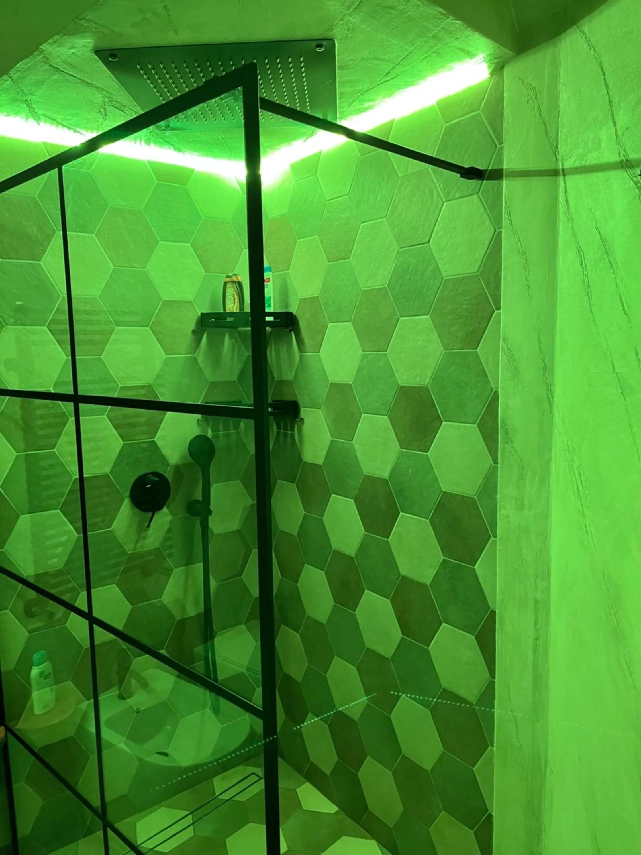 Bathroom in Eco Home con terrazza