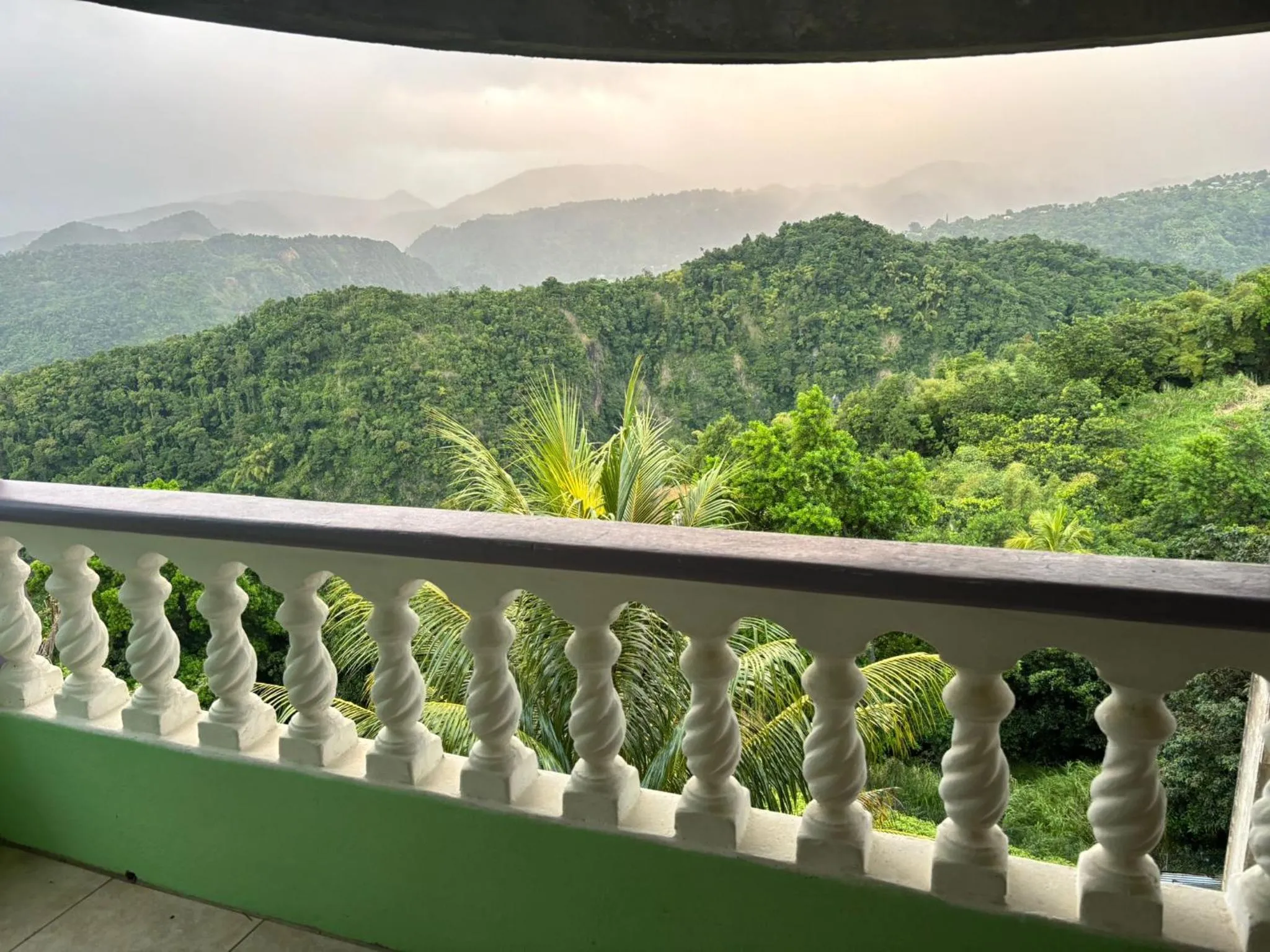 Natural landscape in Matthew's Miracle View