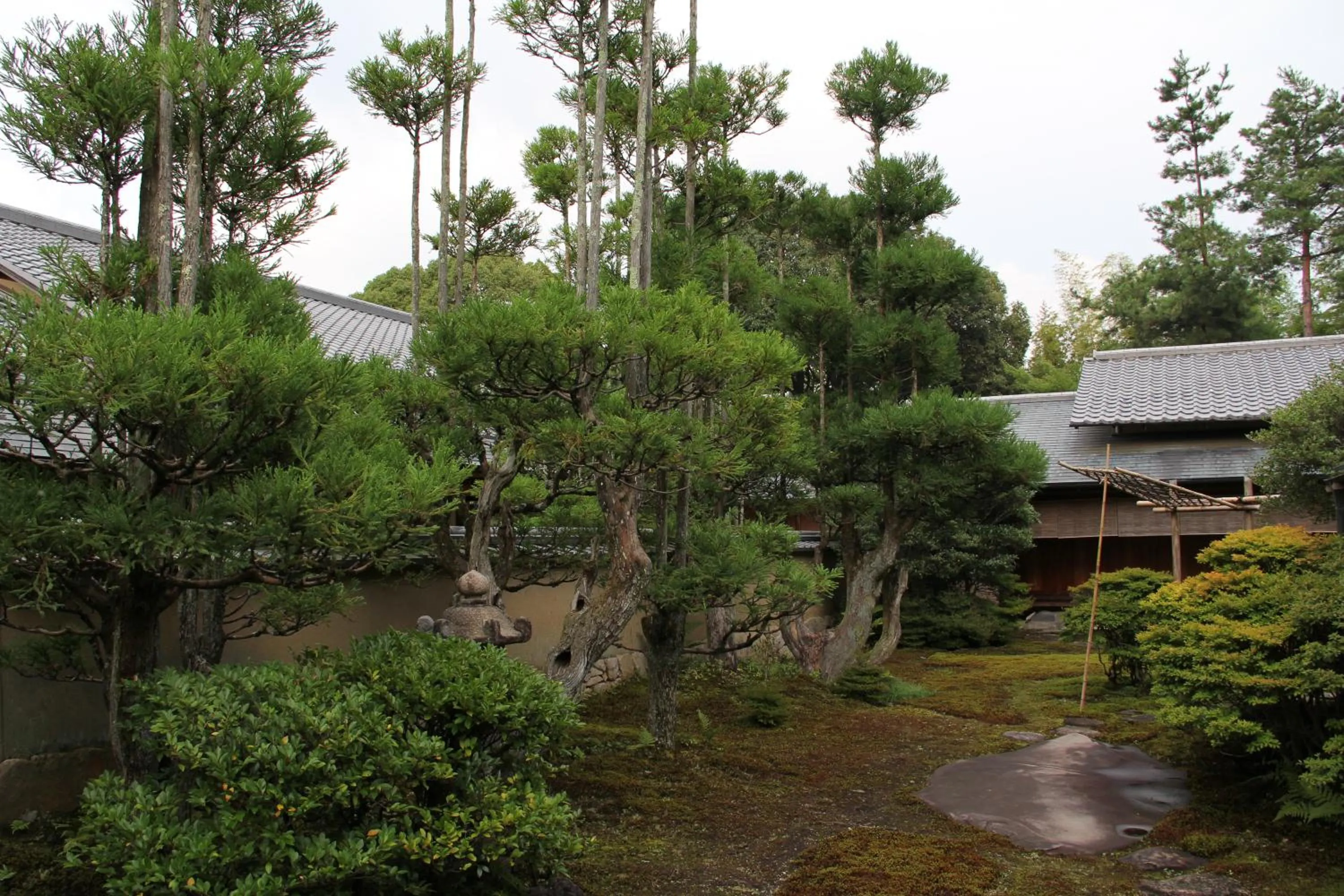 Garden in Arima Grand Hotel