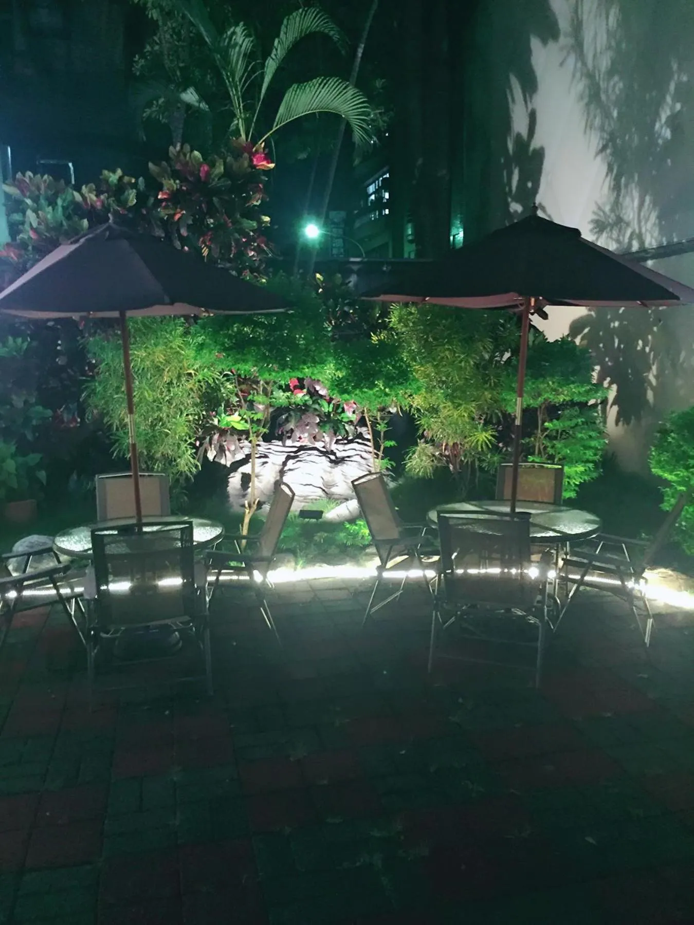 Property building in Jungle City Motel