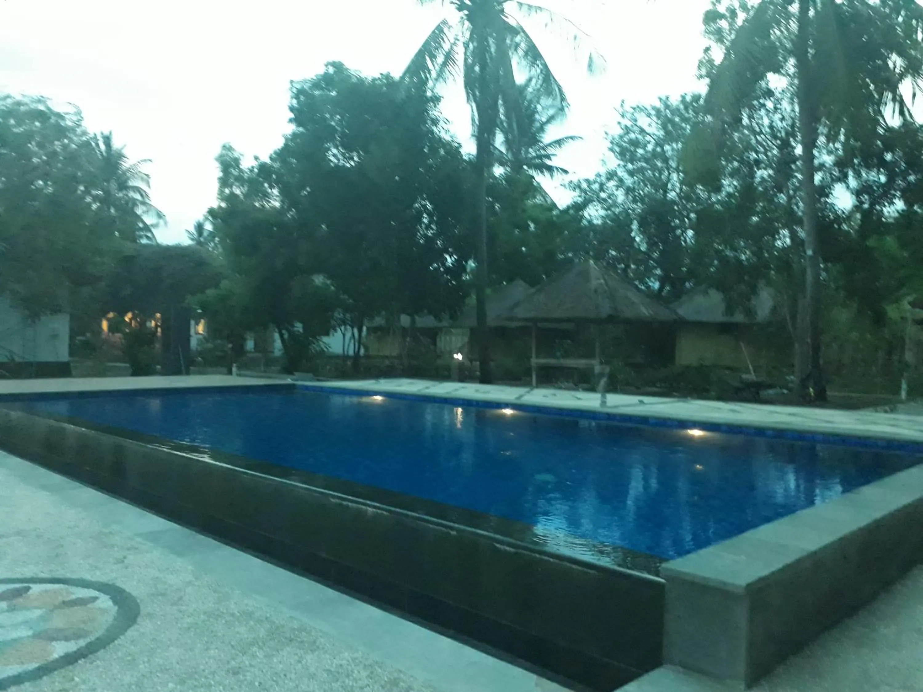 Swimming pool in Bidara Cottage