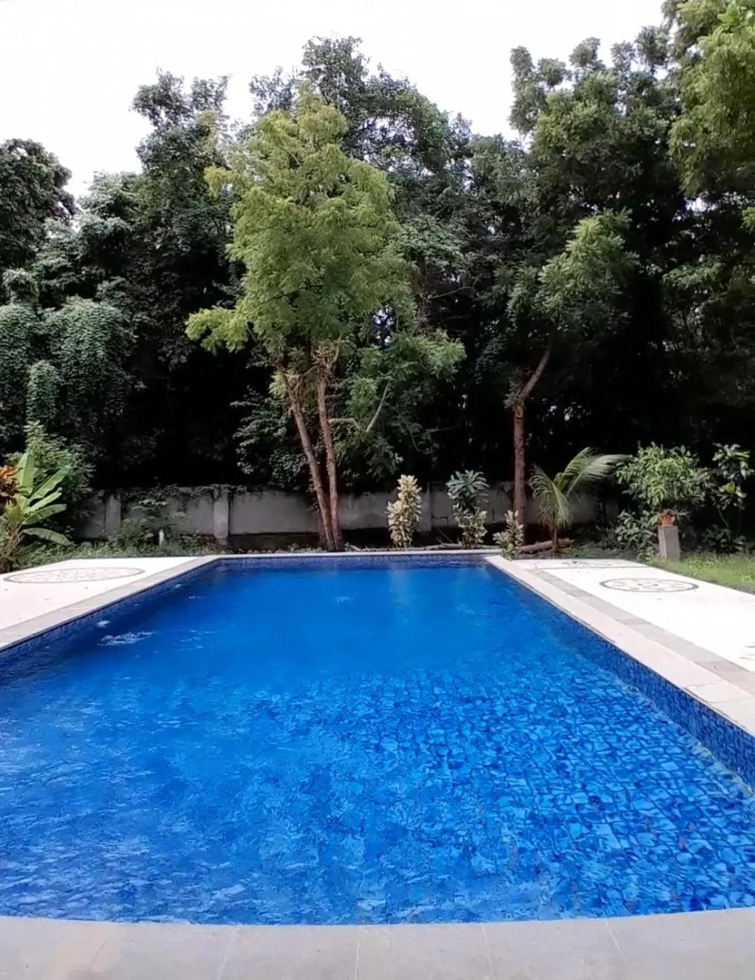 Swimming pool in Bidara Cottage