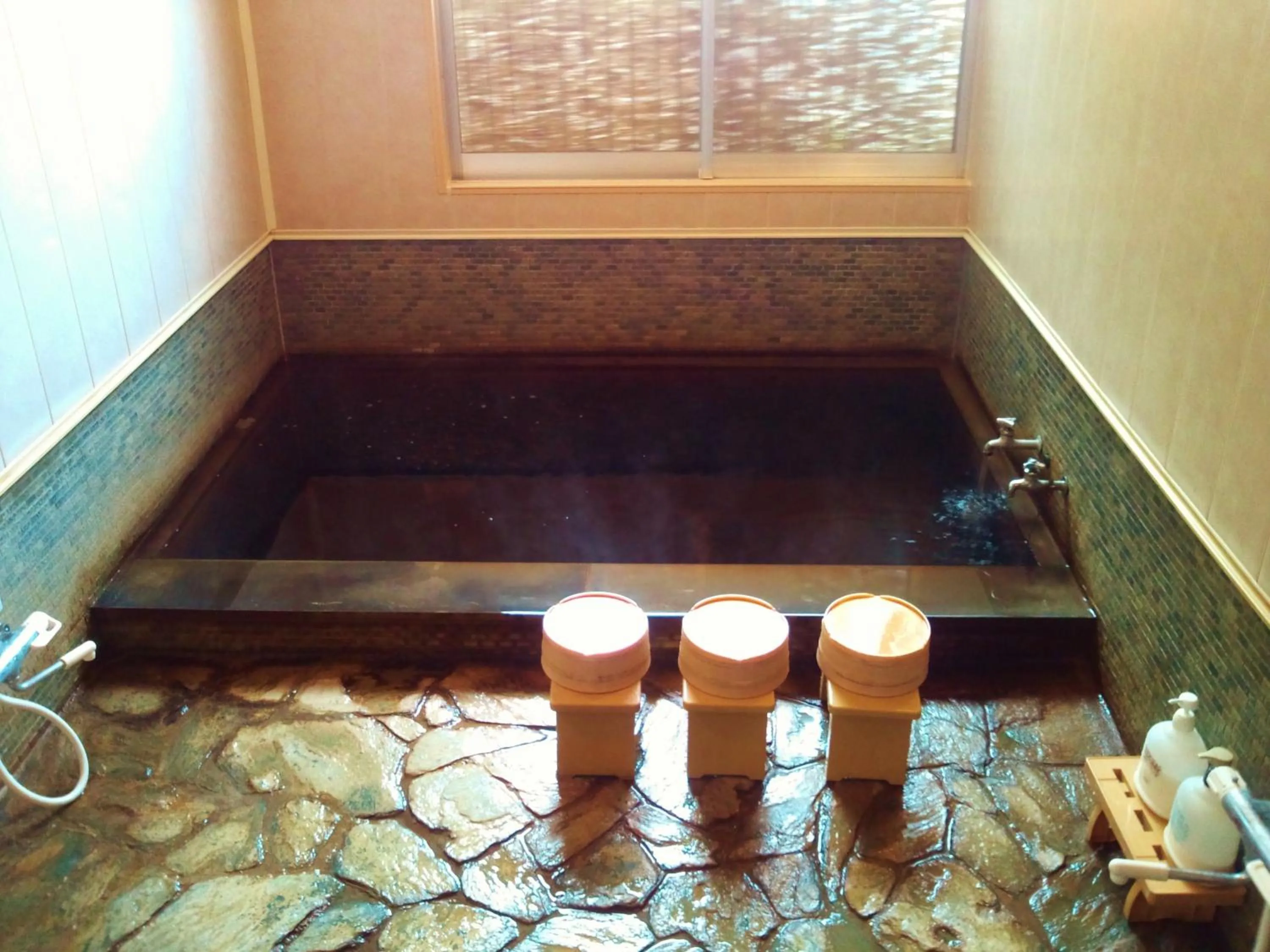 Hot Spring Bath in Tenryuso