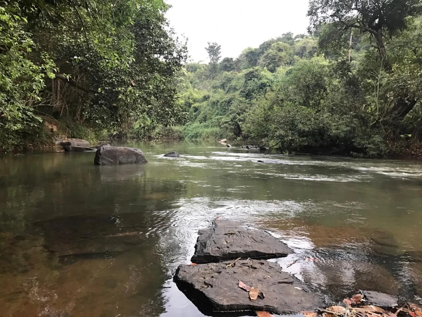 Natural landscape in Wanathara Resort