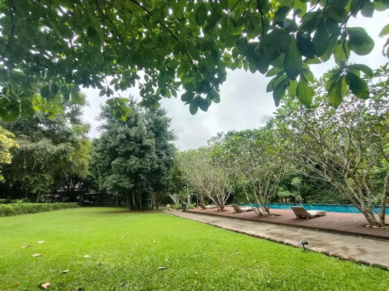 Natural landscape in Wanathara Resort