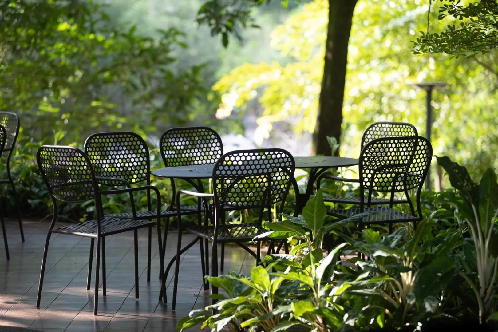 Garden in Wanathara Resort