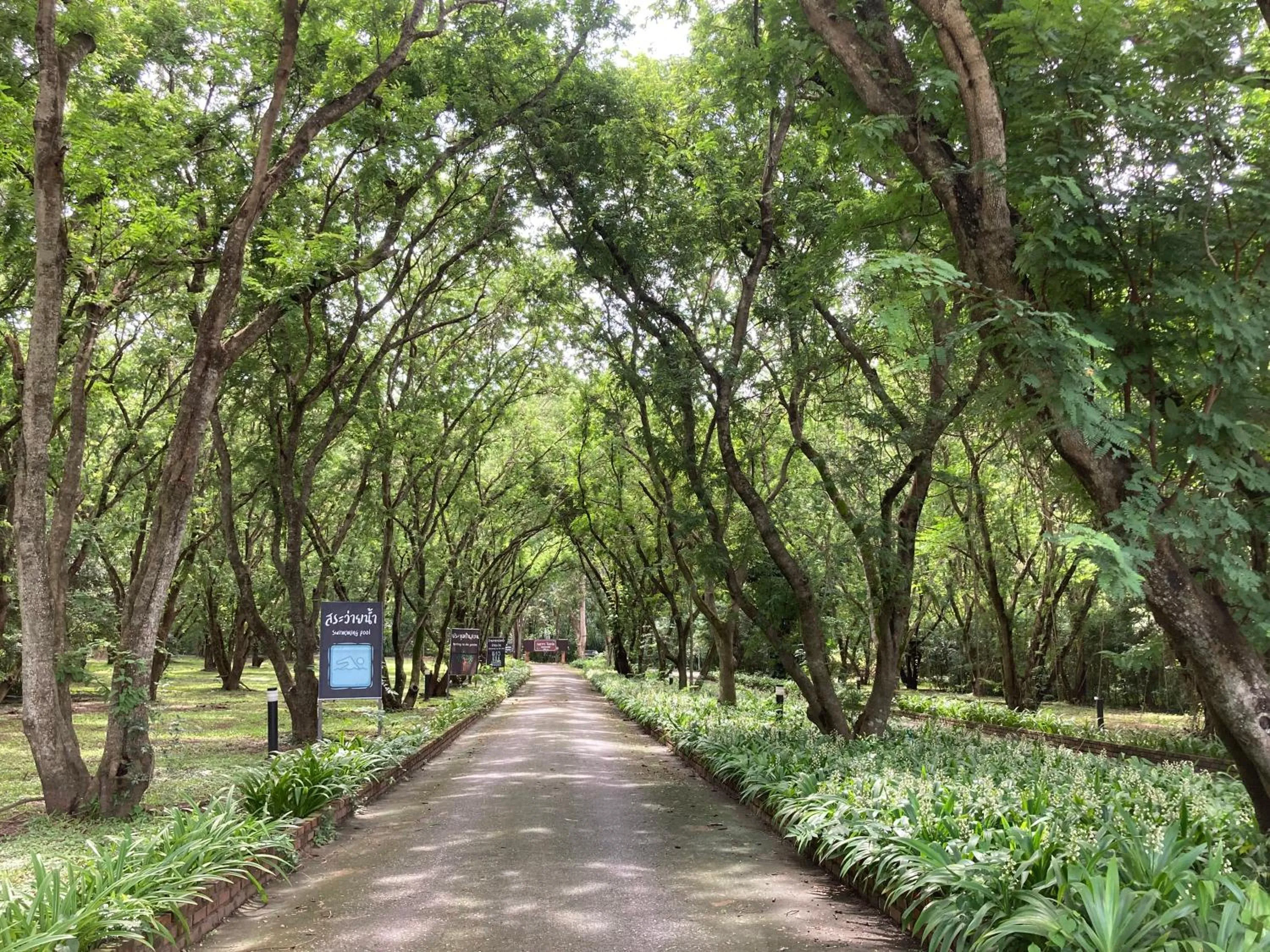 Natural landscape in Wanathara Resort
