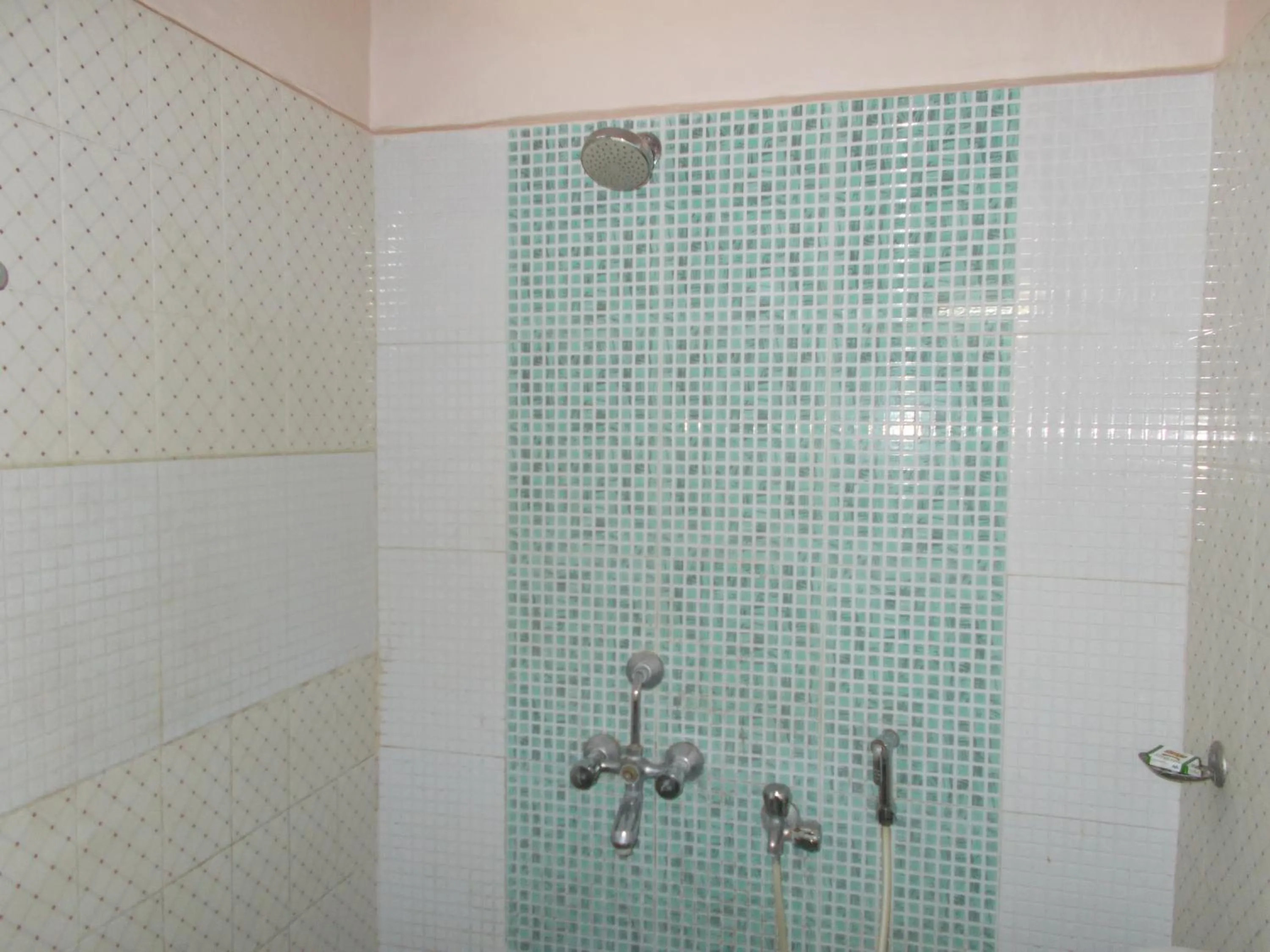 Shower in Hotel Embassy