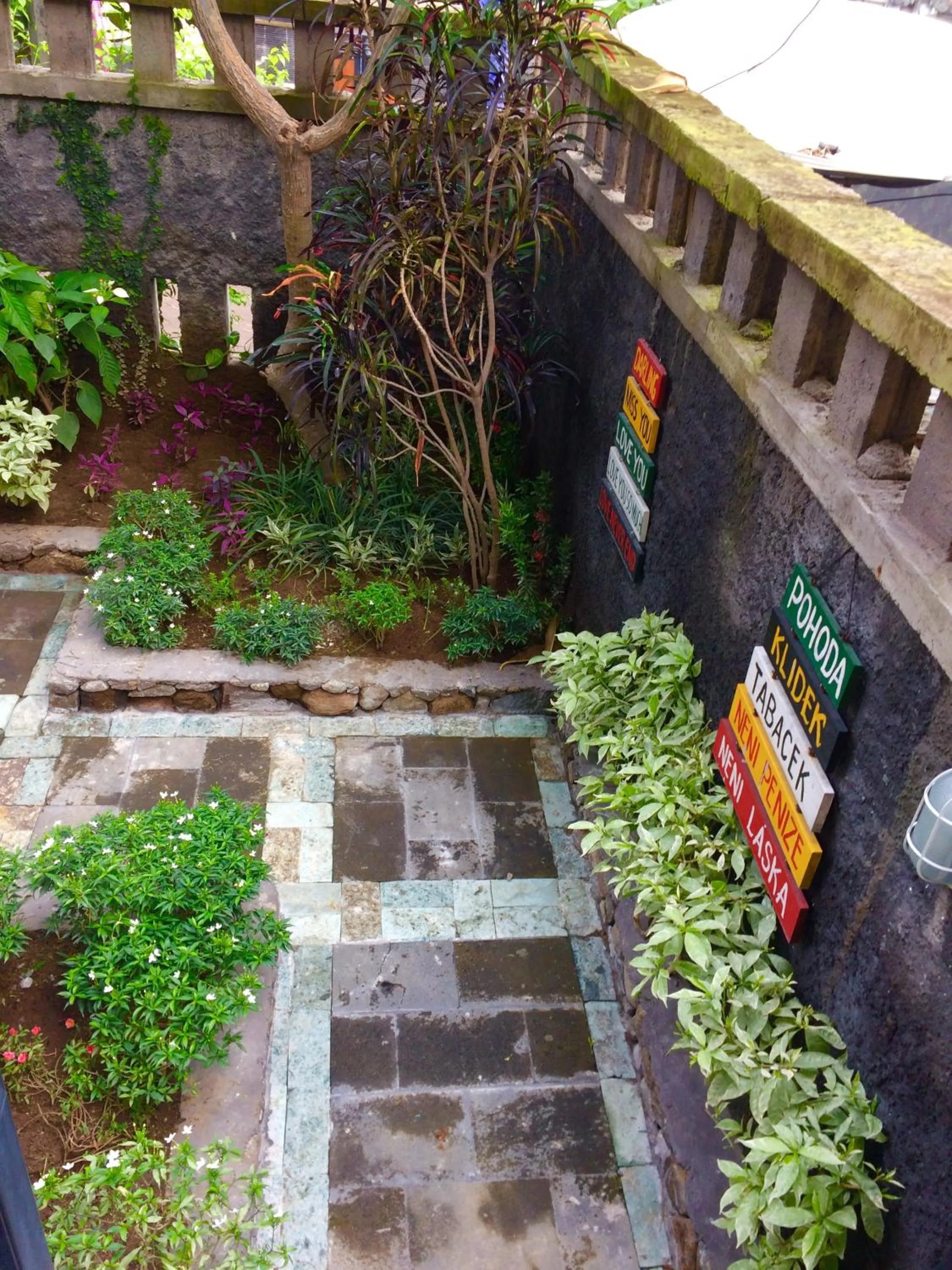 Garden in Amed Romance House