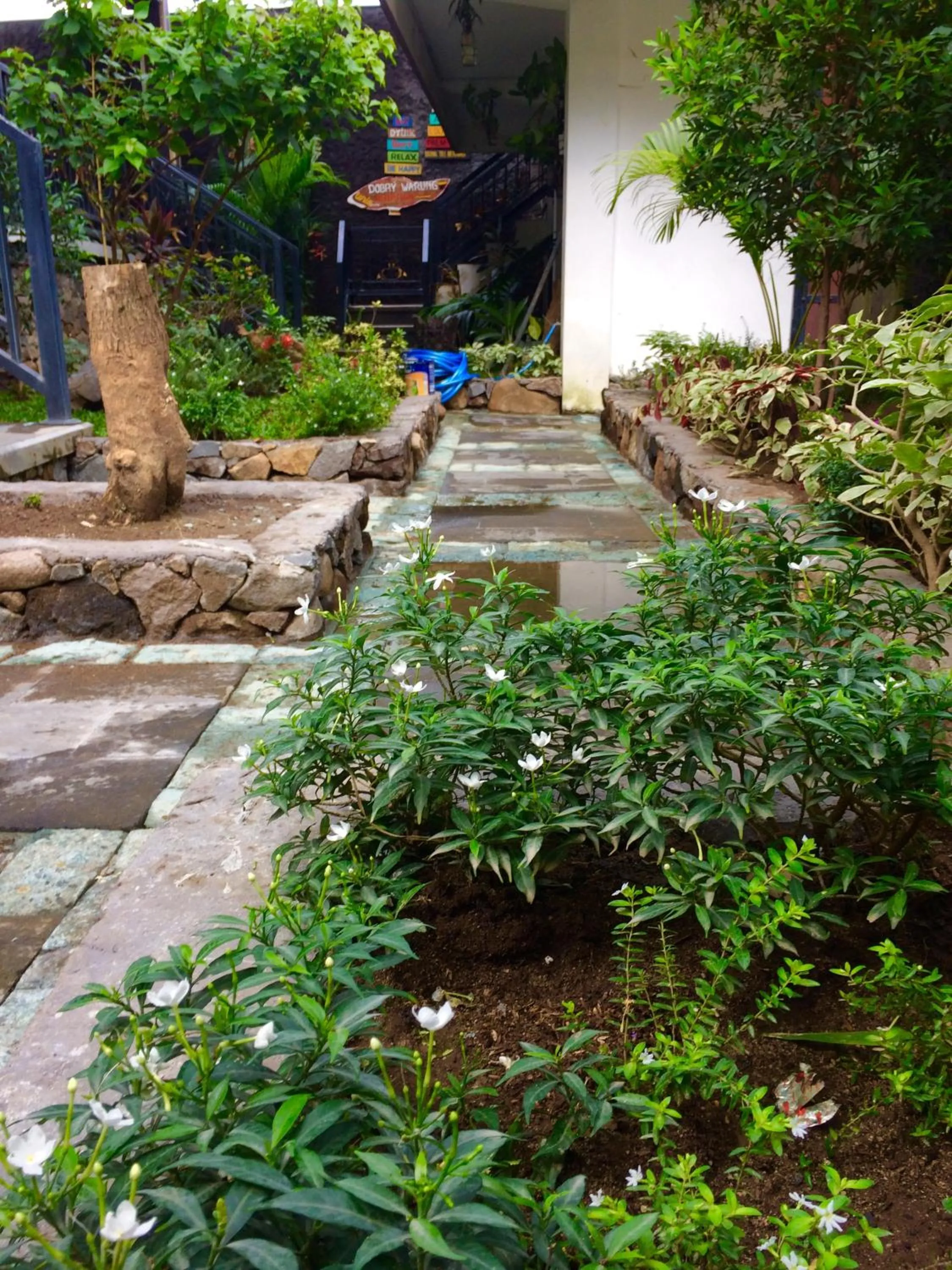 Garden in Amed Romance House